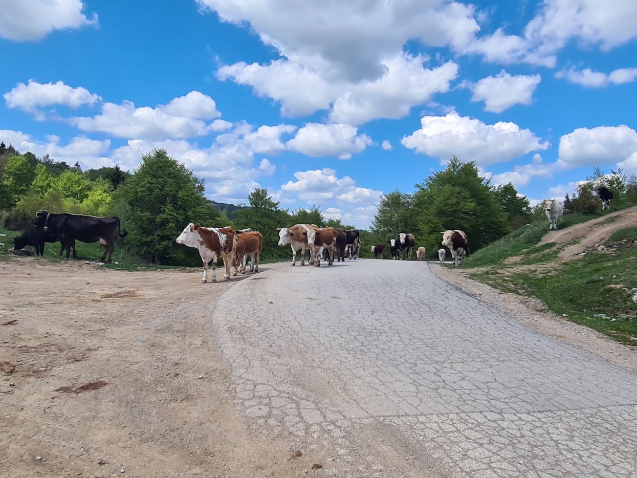 Traffic on the top of the mountain