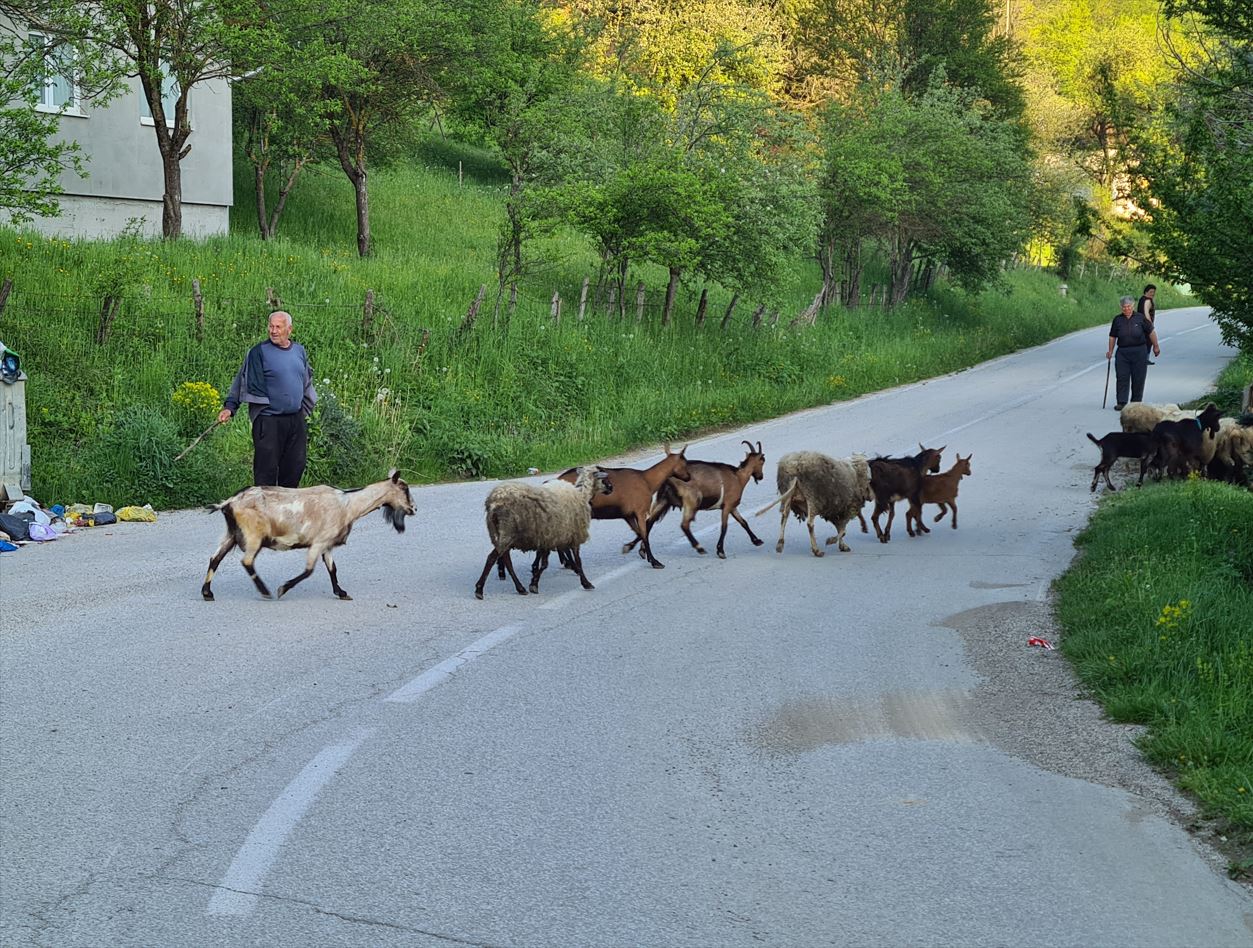 Crossing traffic