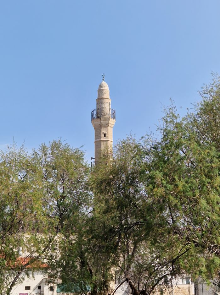 06ccc-jaffa2.jpg
