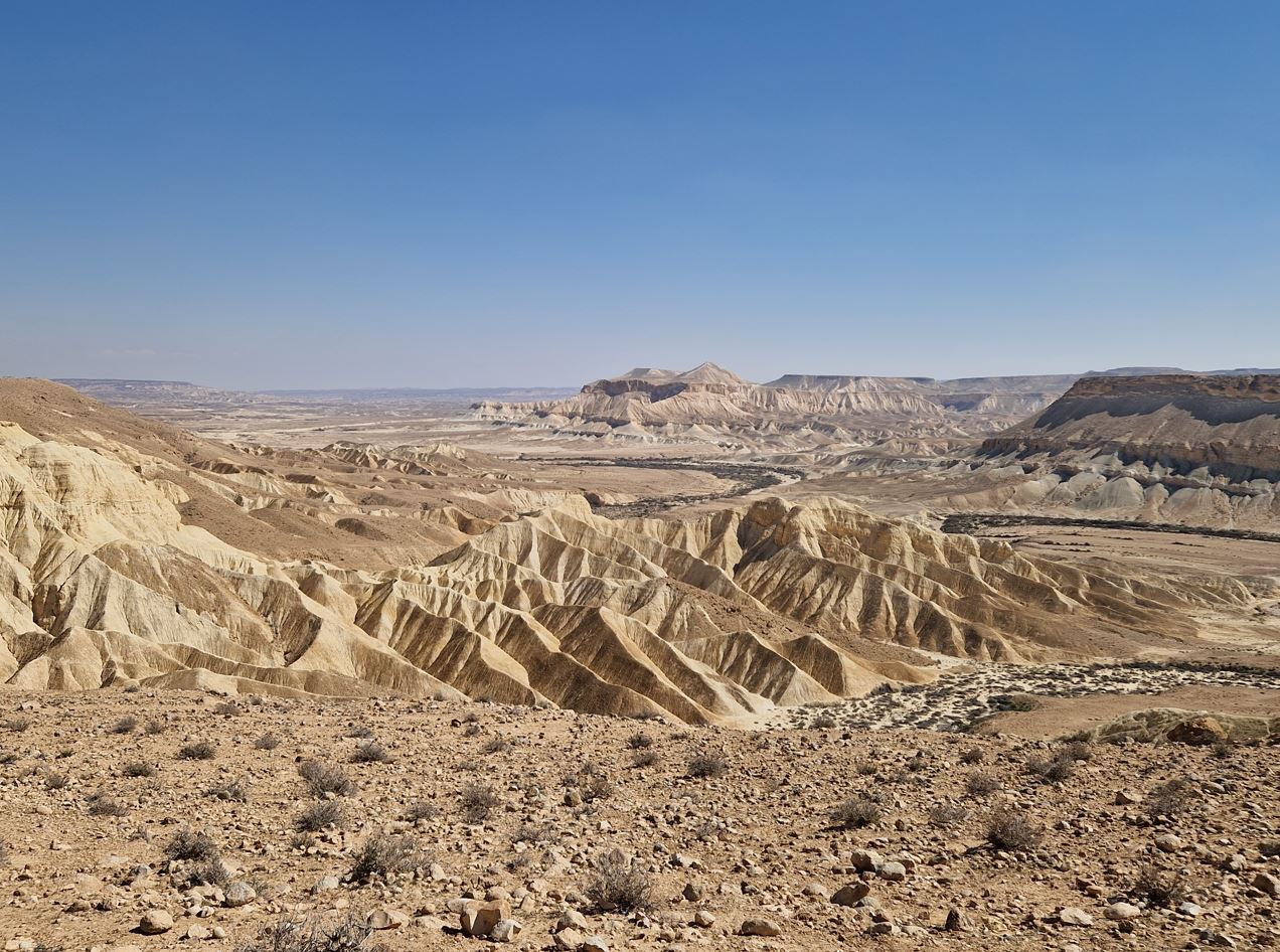 0a3ba-negev1.jpg