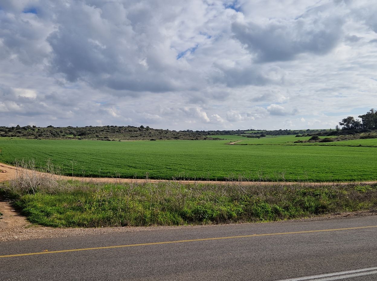 Green farmlands