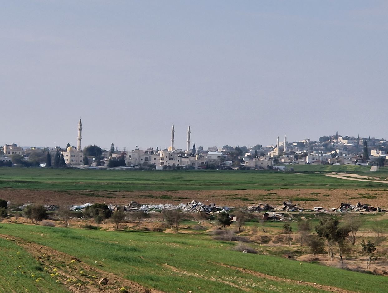 3b063-mosques.jpg