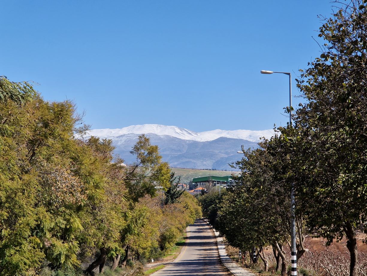 9c100-road-nice.jpg