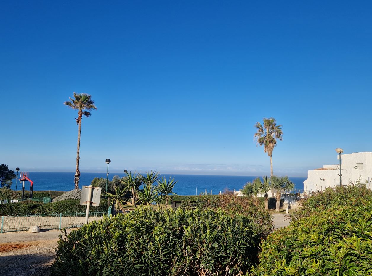 ab423-netanya2.jpg