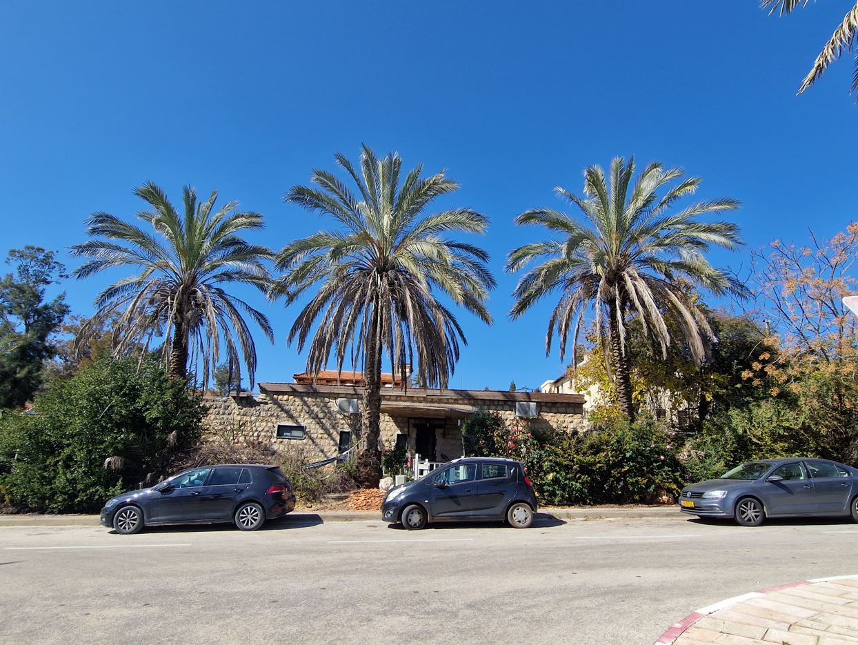 b8383-palm-trees.jpg