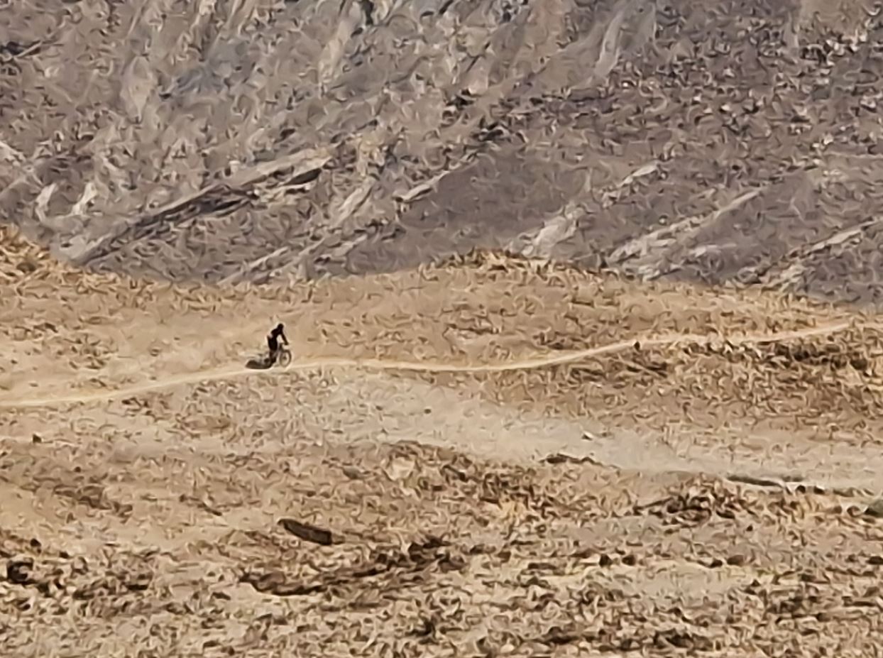MTB rider