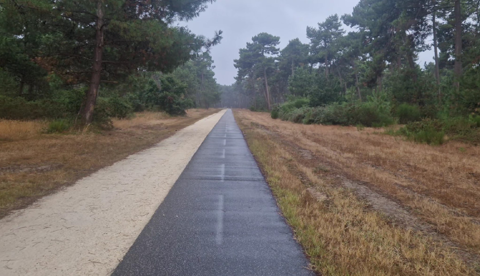Bike highway