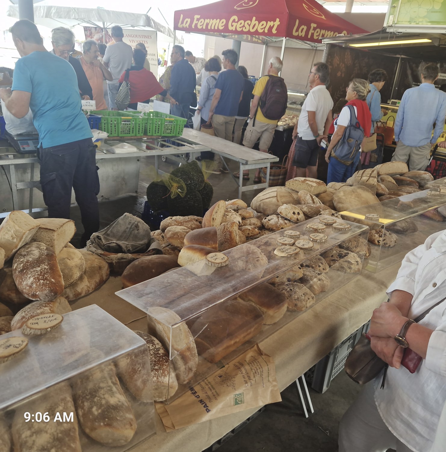 240c5-saturday-market.jpg