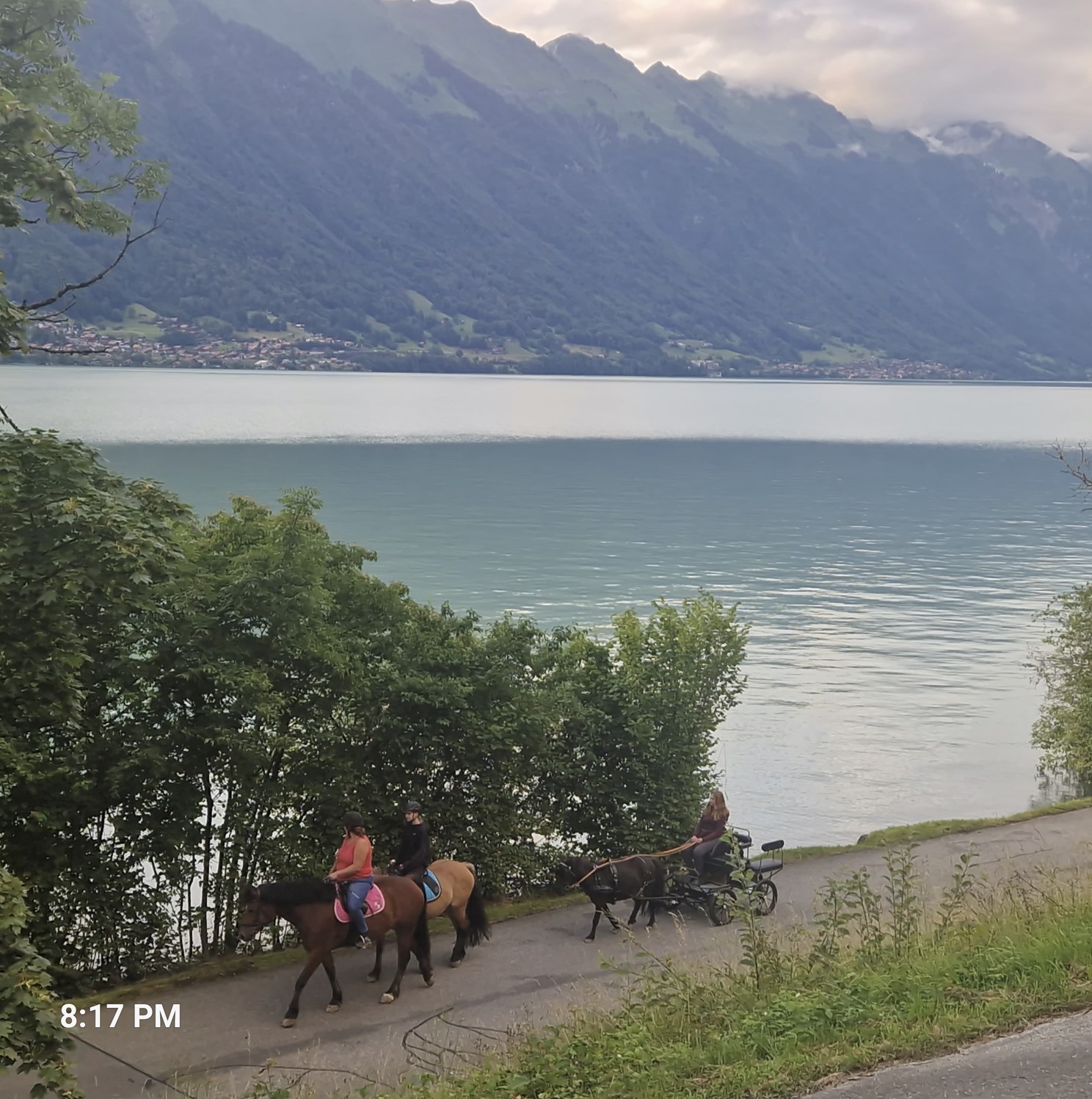 Horses and a horse cart next to the lake, as seen from the camping