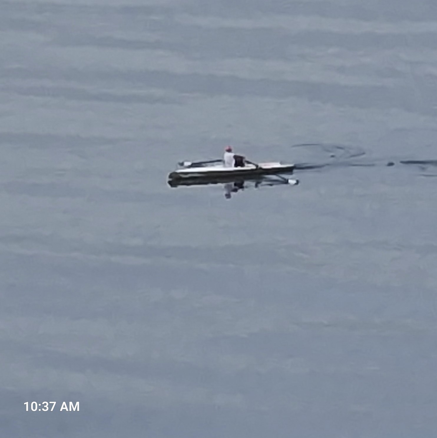 Lone guy rowing