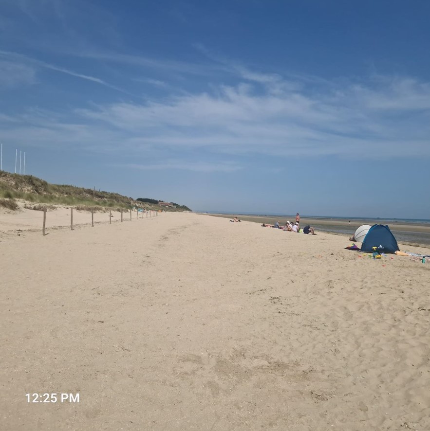 5fbfb-utah-beach3.jpg