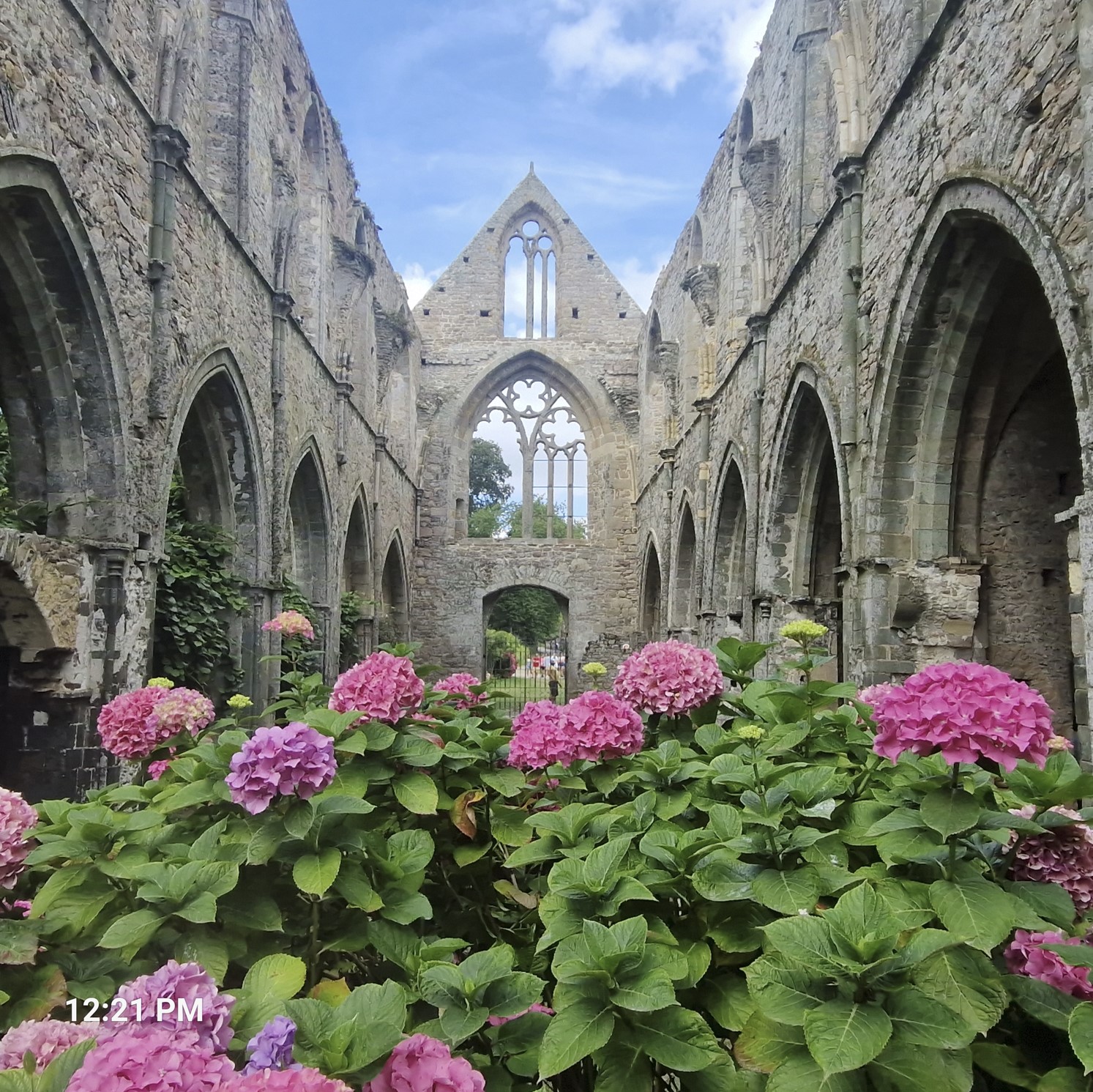 63a2d-abbey3-1.jpg