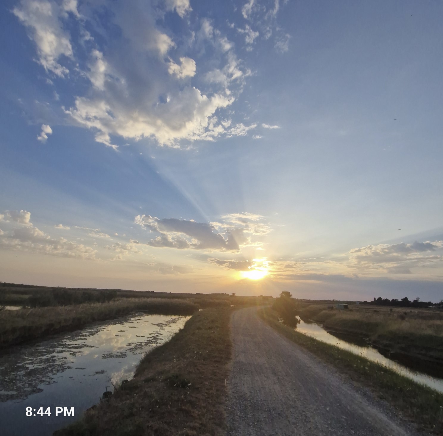 9c699-marshland2.jpg