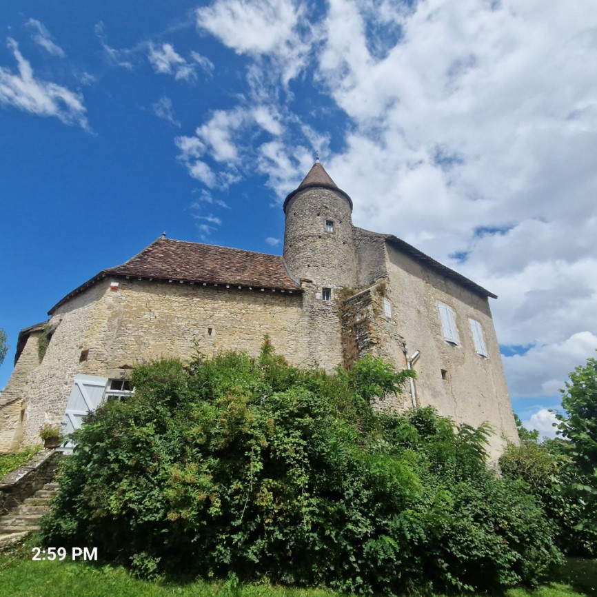 Private castle of Saviagnes