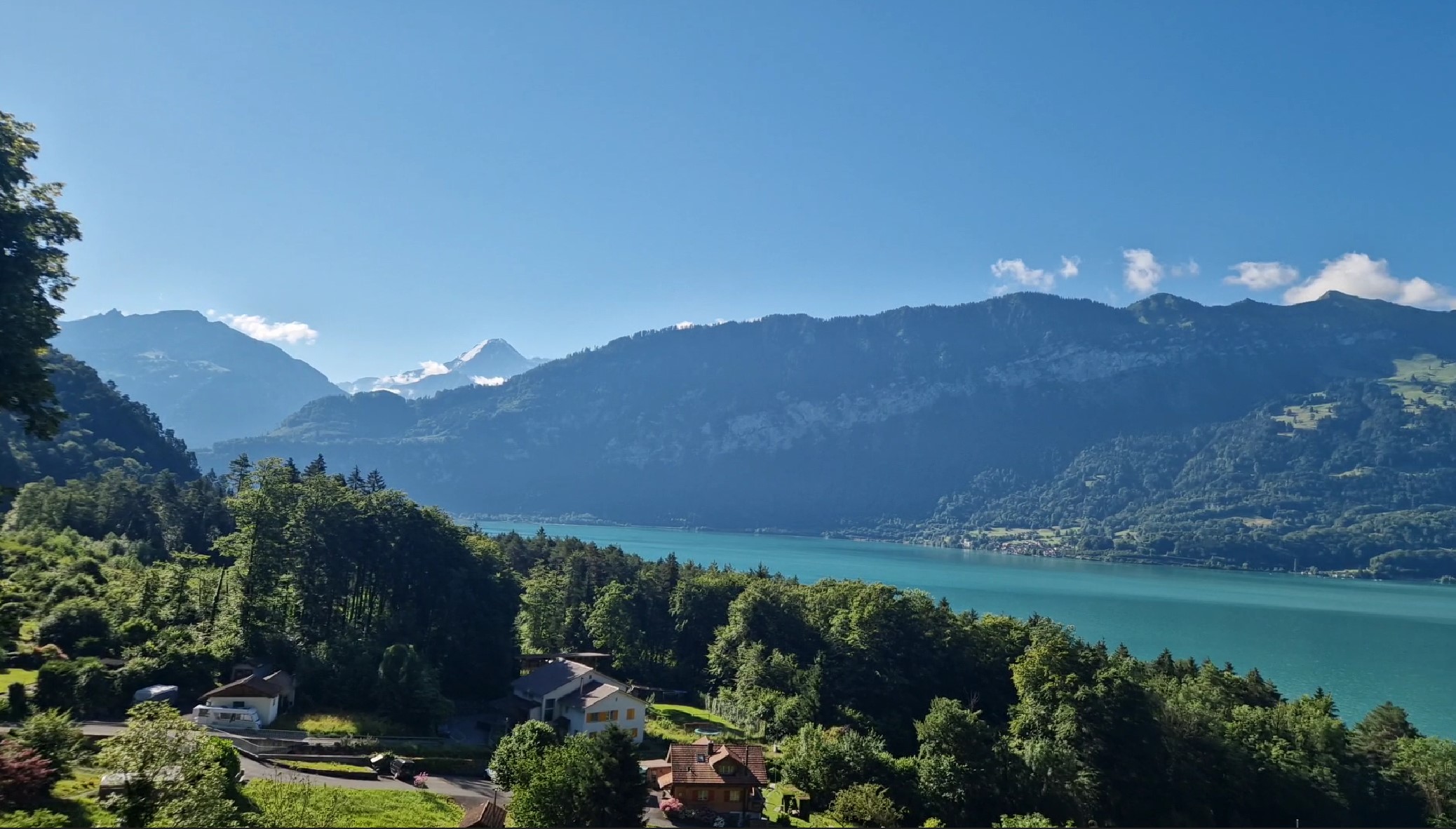 Very Swiss