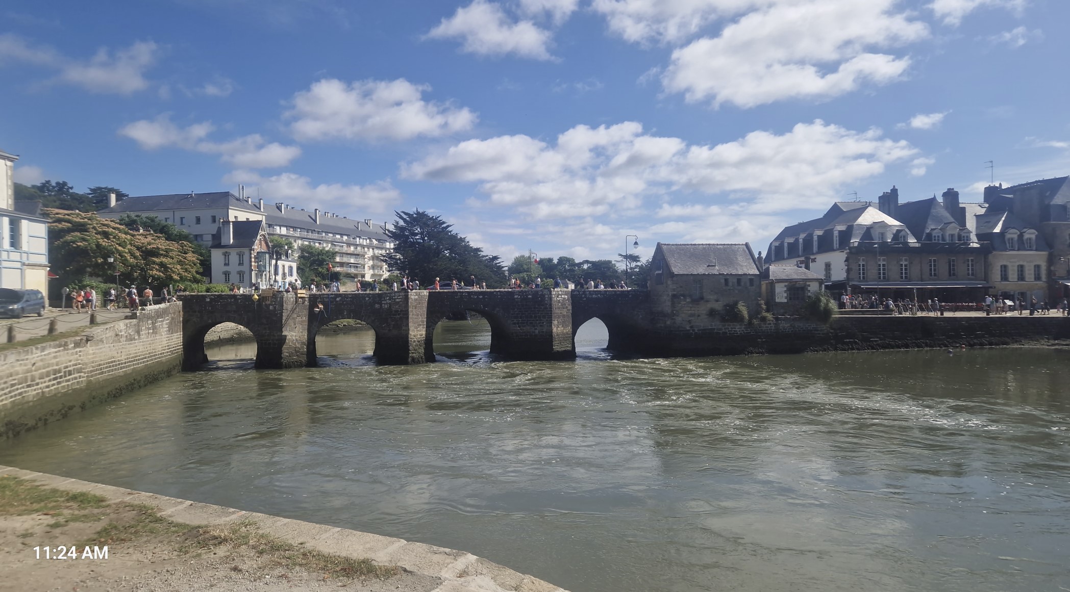 d9df6-aurey1.jpg