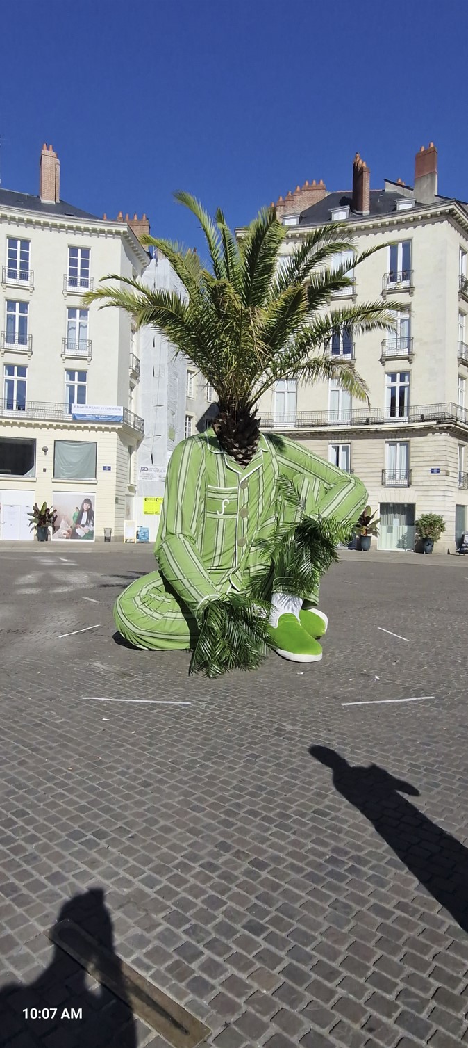 f7c26-nantes2.jpg