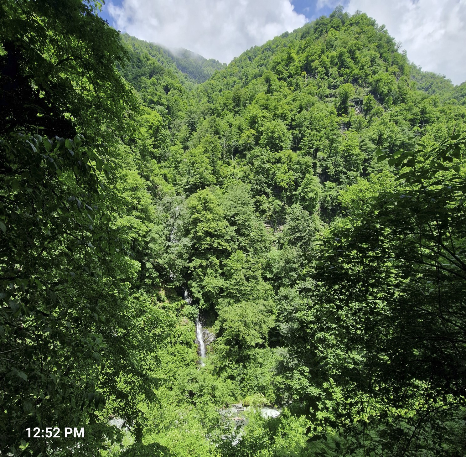 25565-wood2.jpg