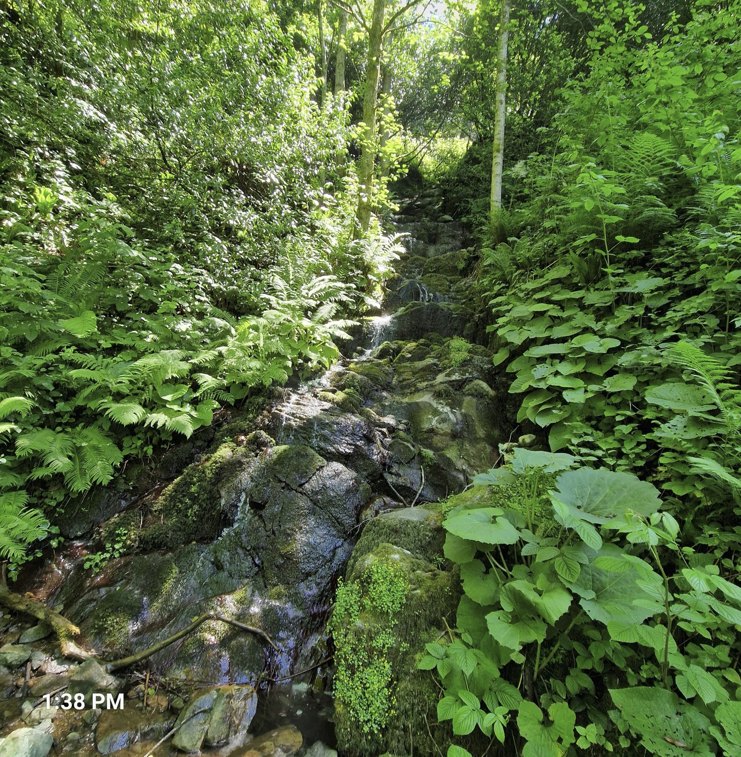 Ia this the waterfall?