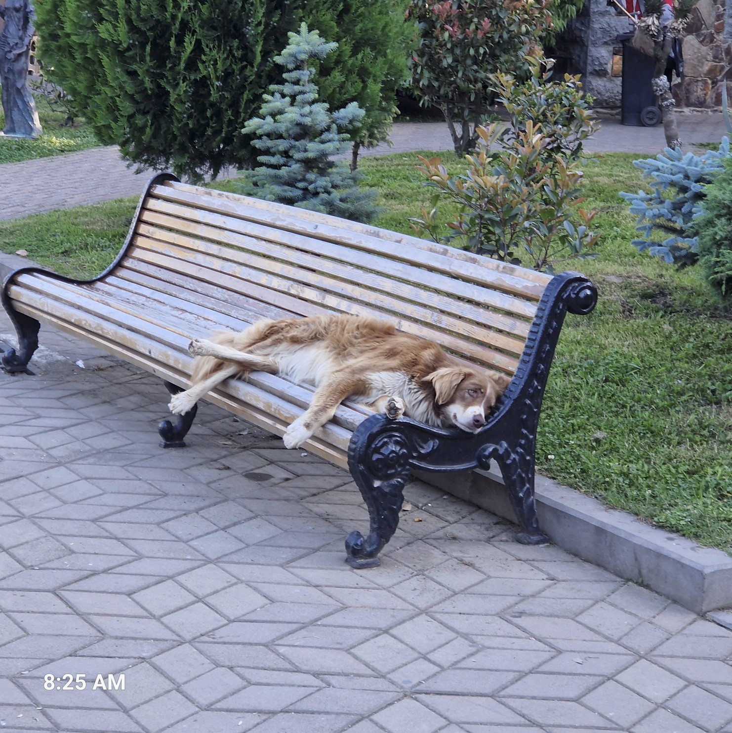 Relaxed