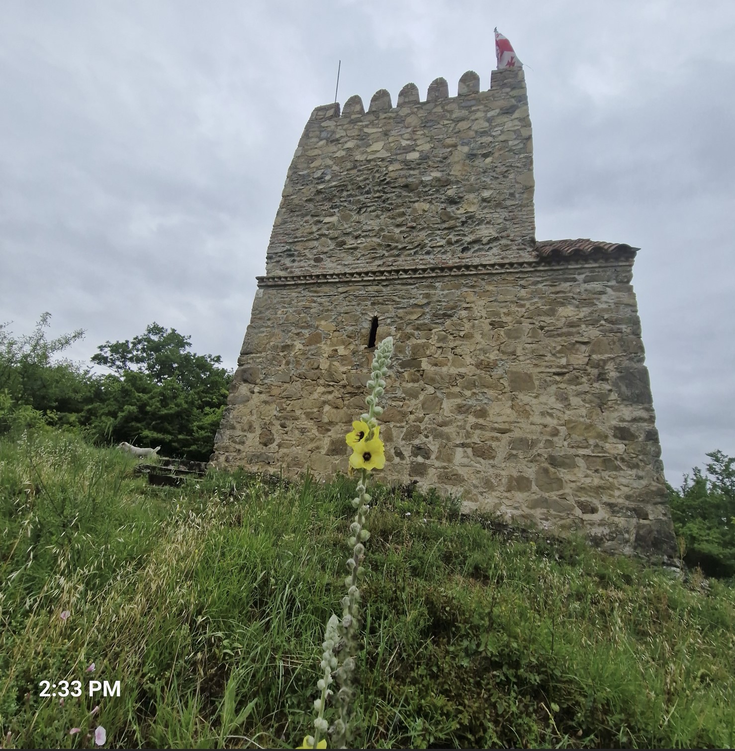 55a3d-gremi2.jpg