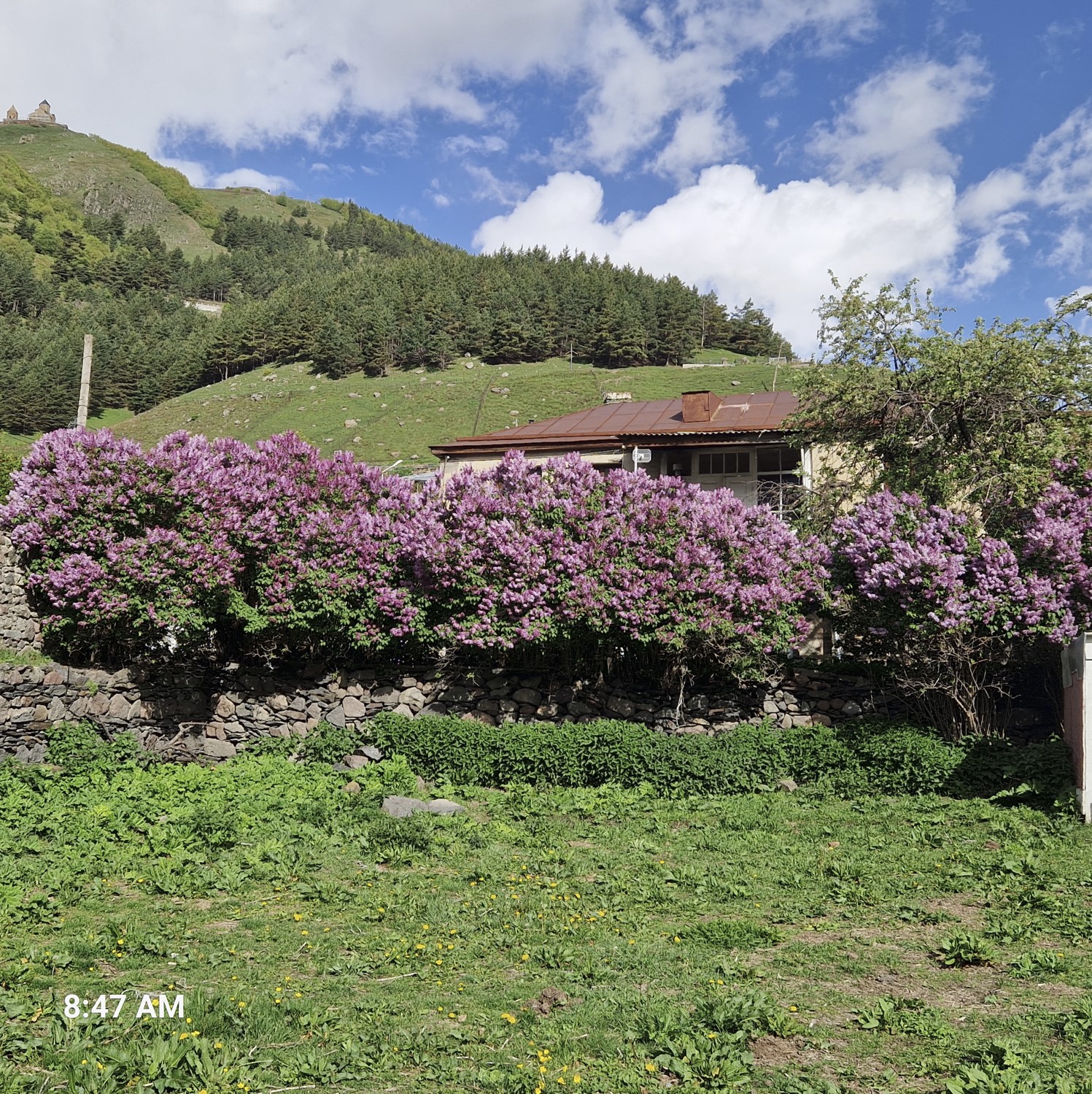 6e6af-kazbegi3.jpg