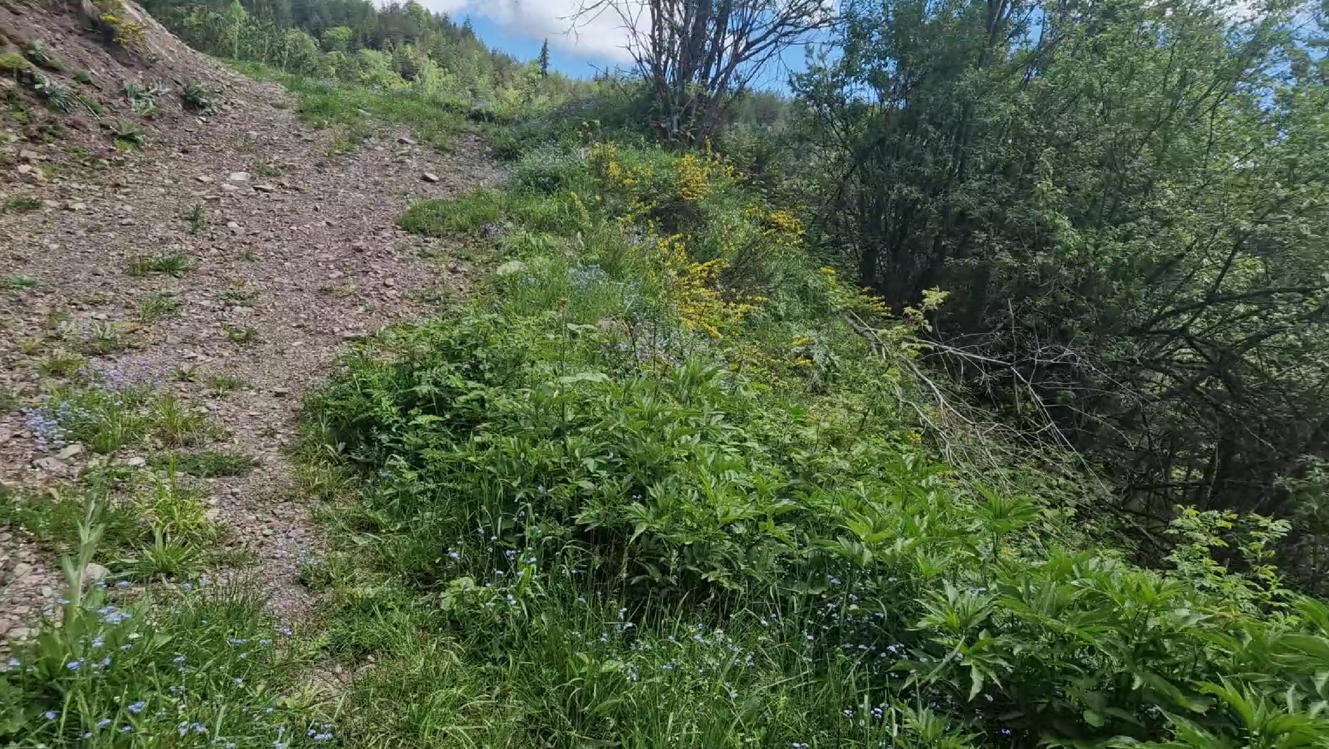 Quite steep
