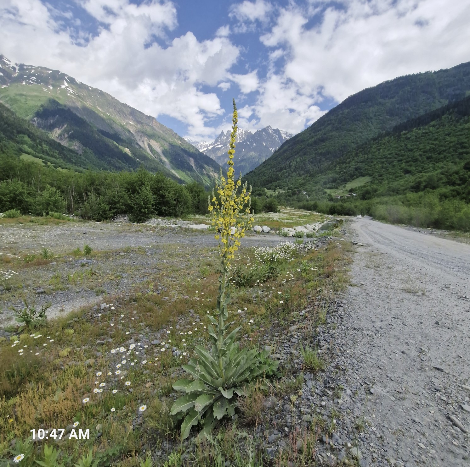 7d568-view10.jpg