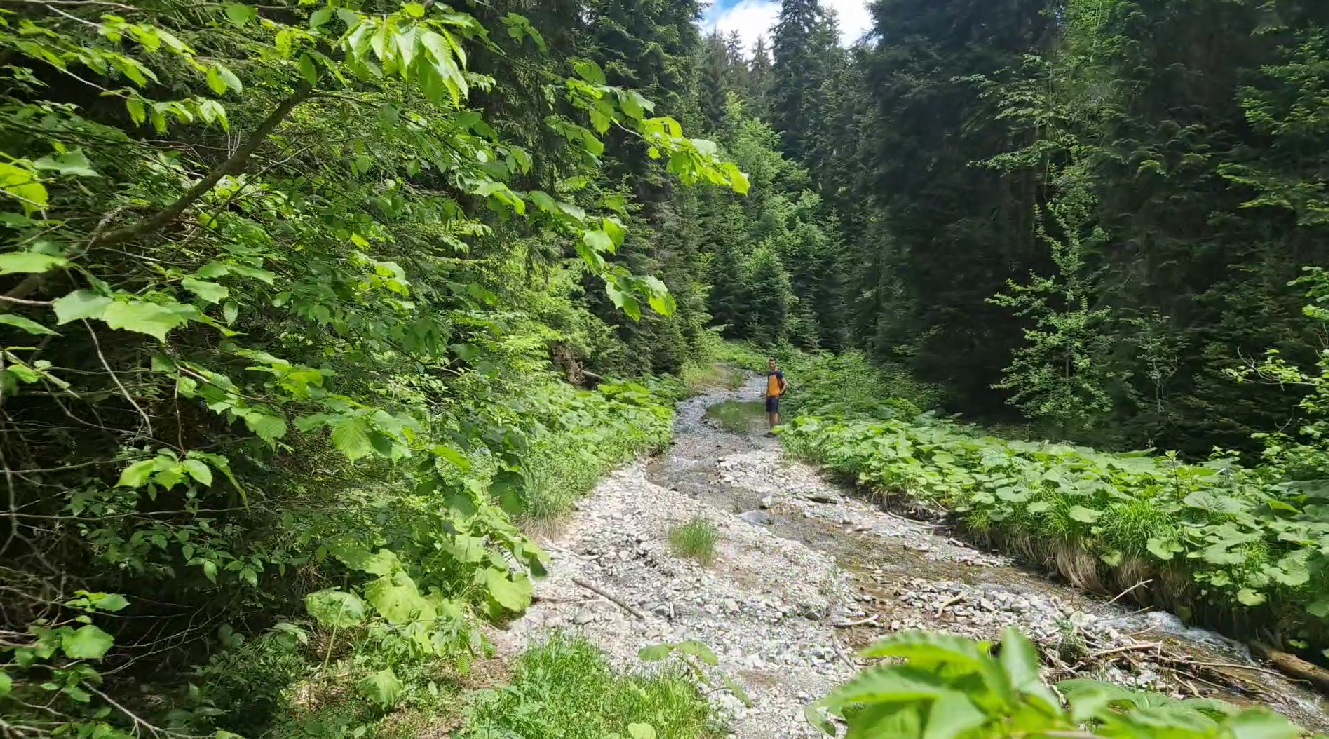 This was an easy crossing
