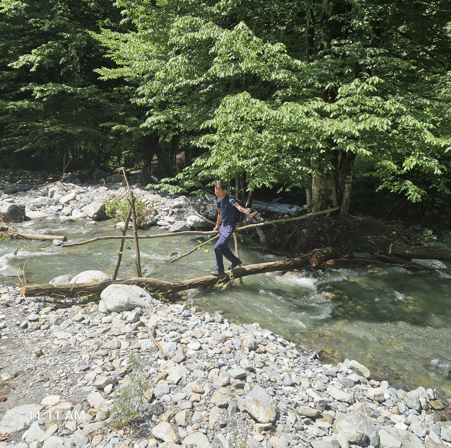 Florian crossing