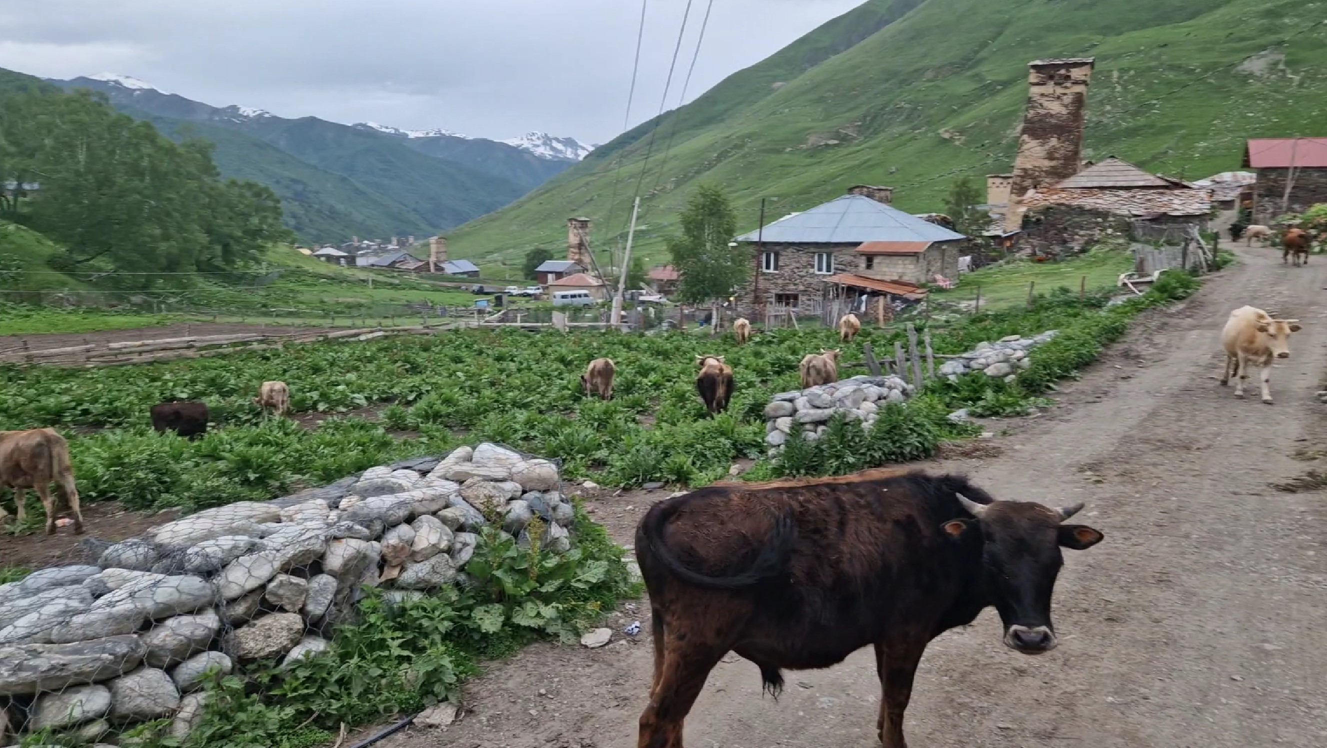 f25f1-ushguli11.jpg
