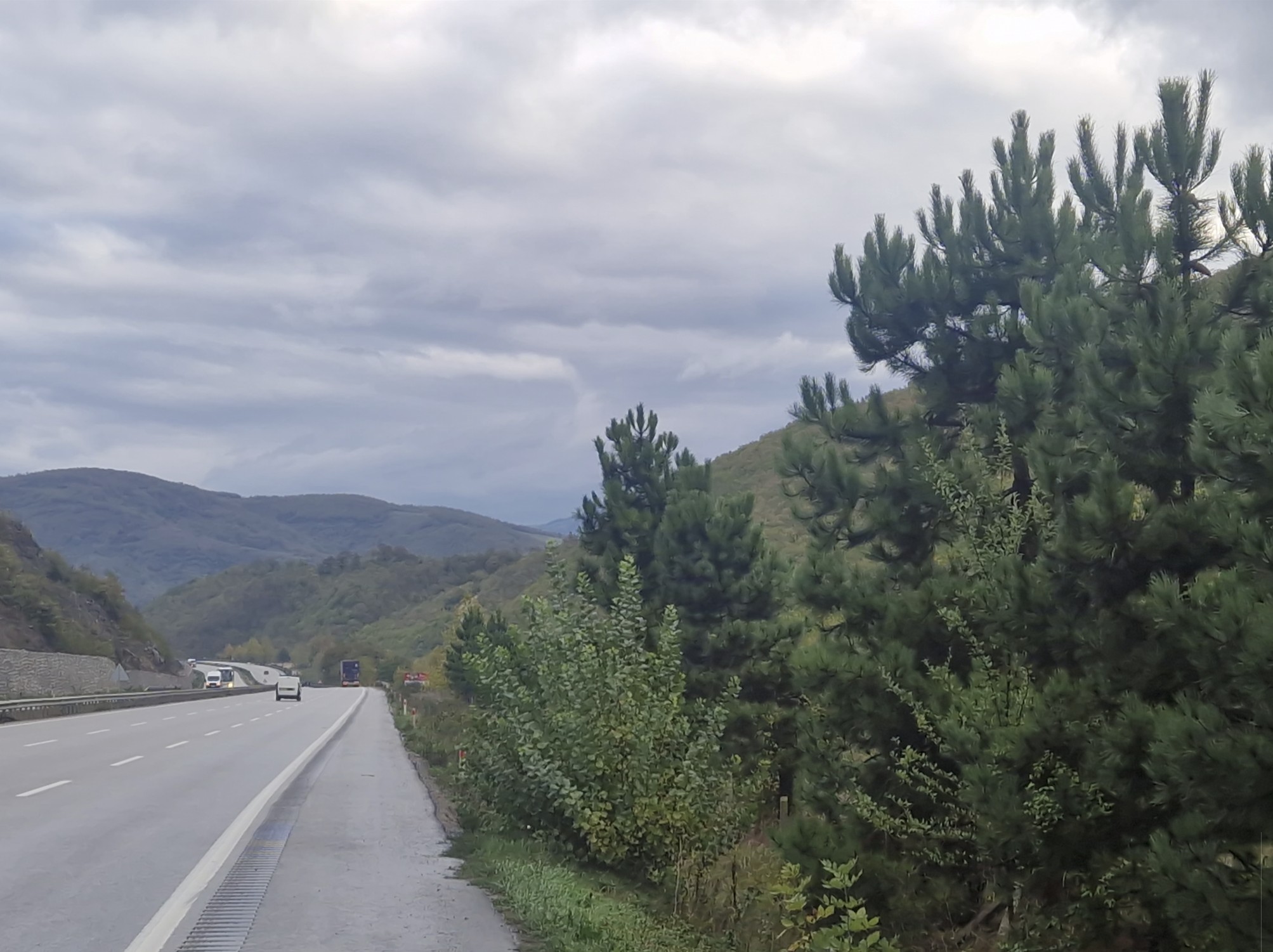 Wienerwald