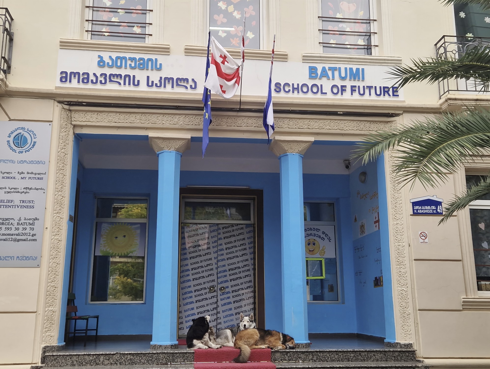 School of Fuure