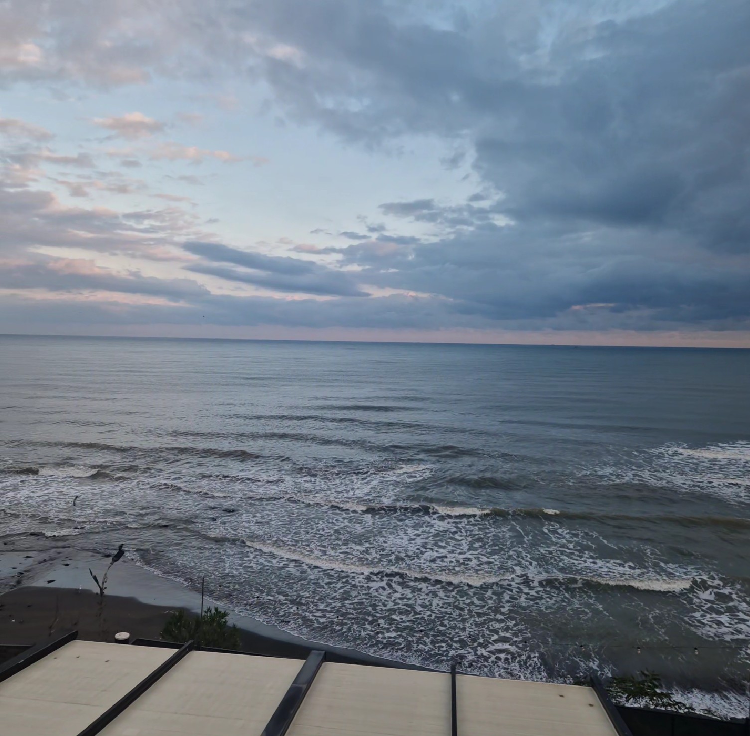 View from my window