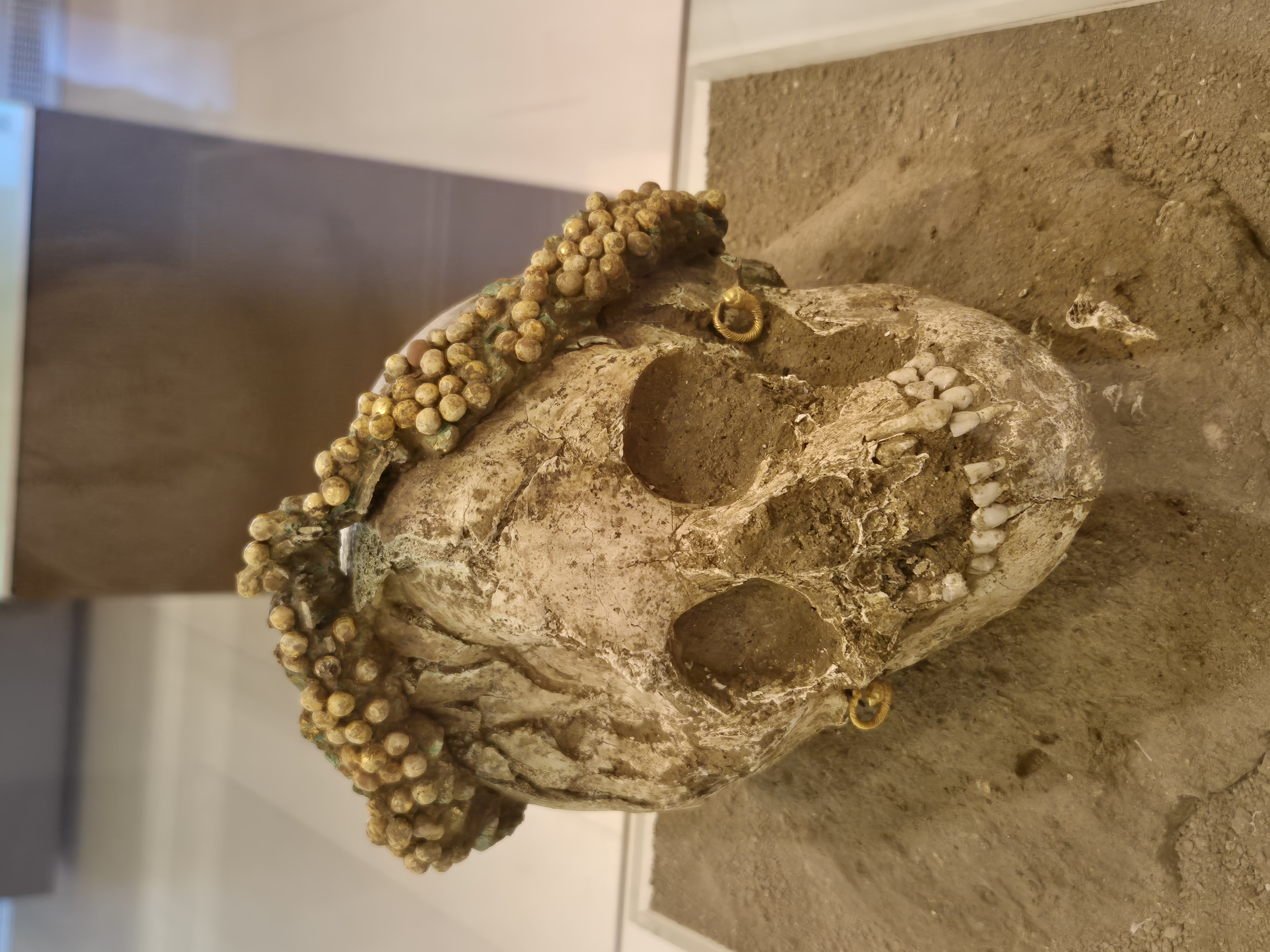 Museum4