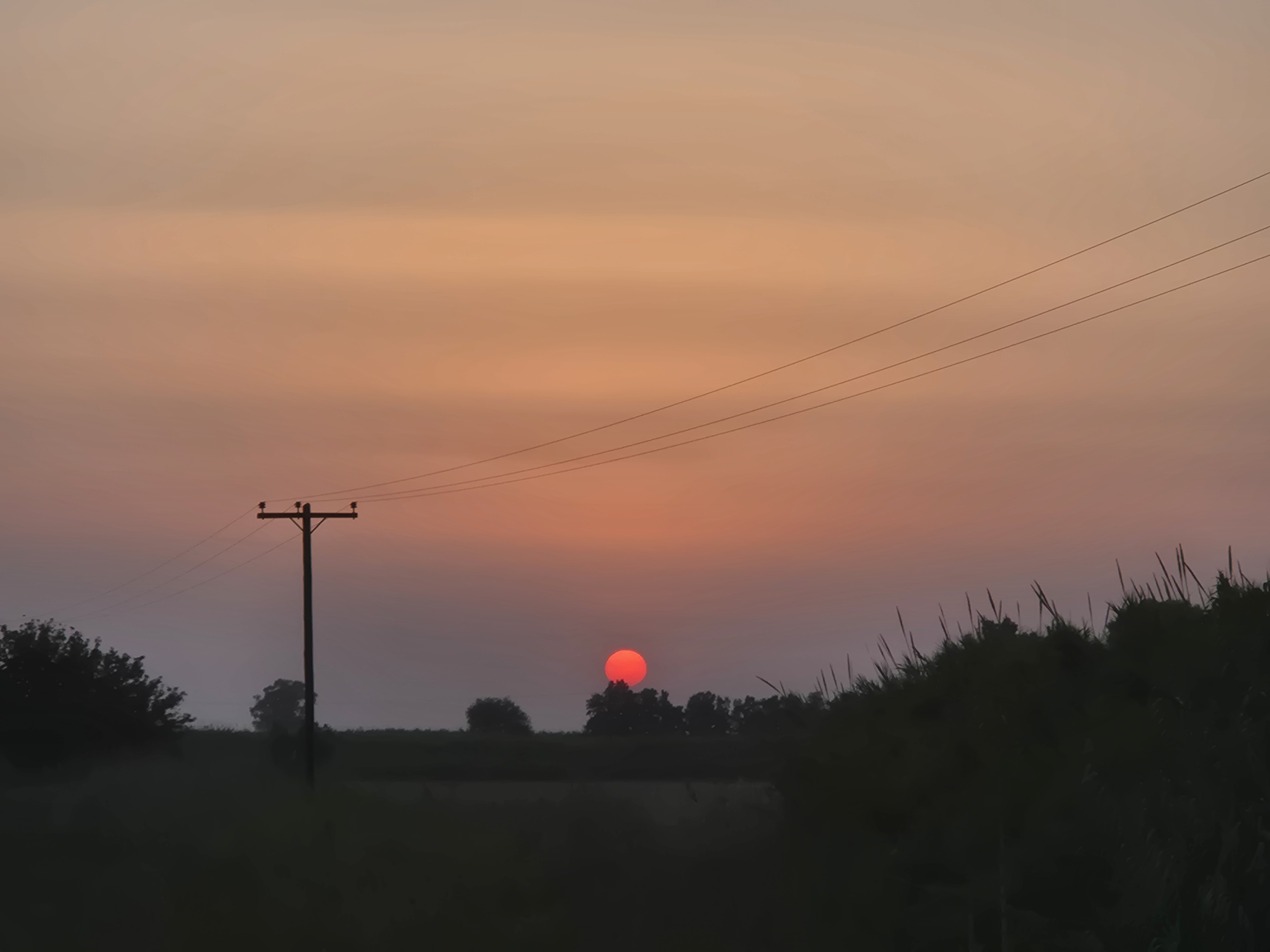 Sunset