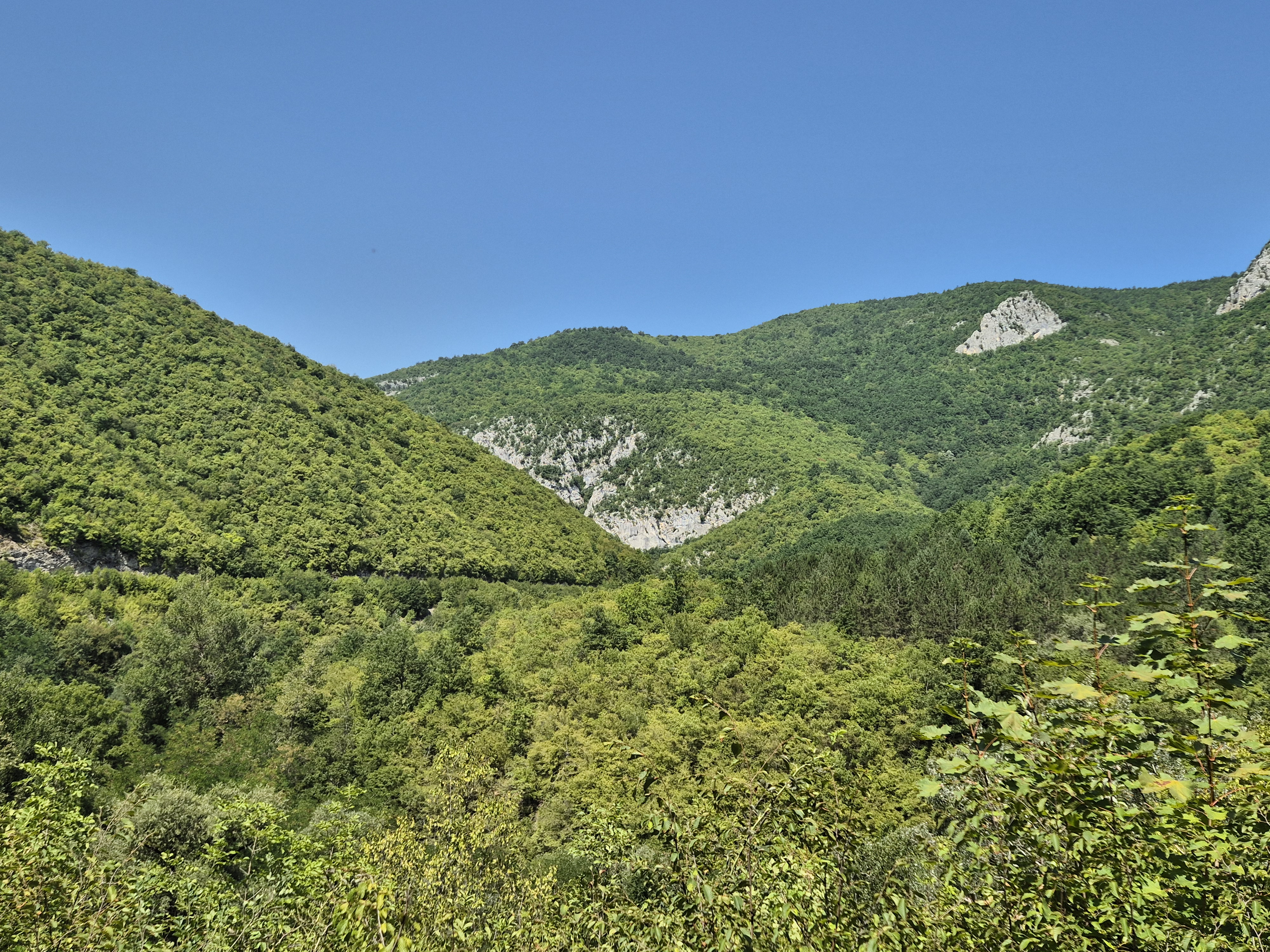 Ah, nature, so beautiful!