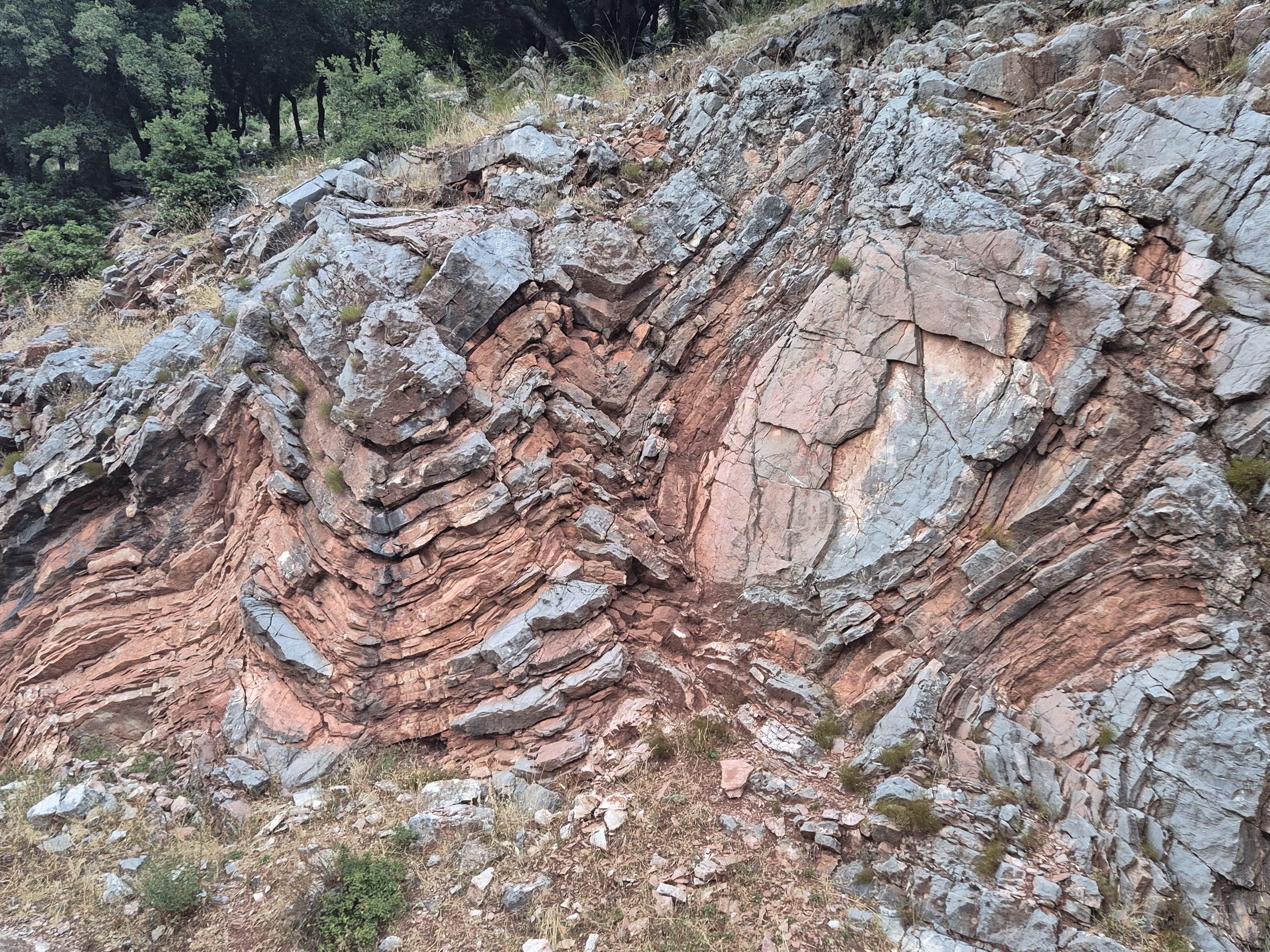 Tectonic