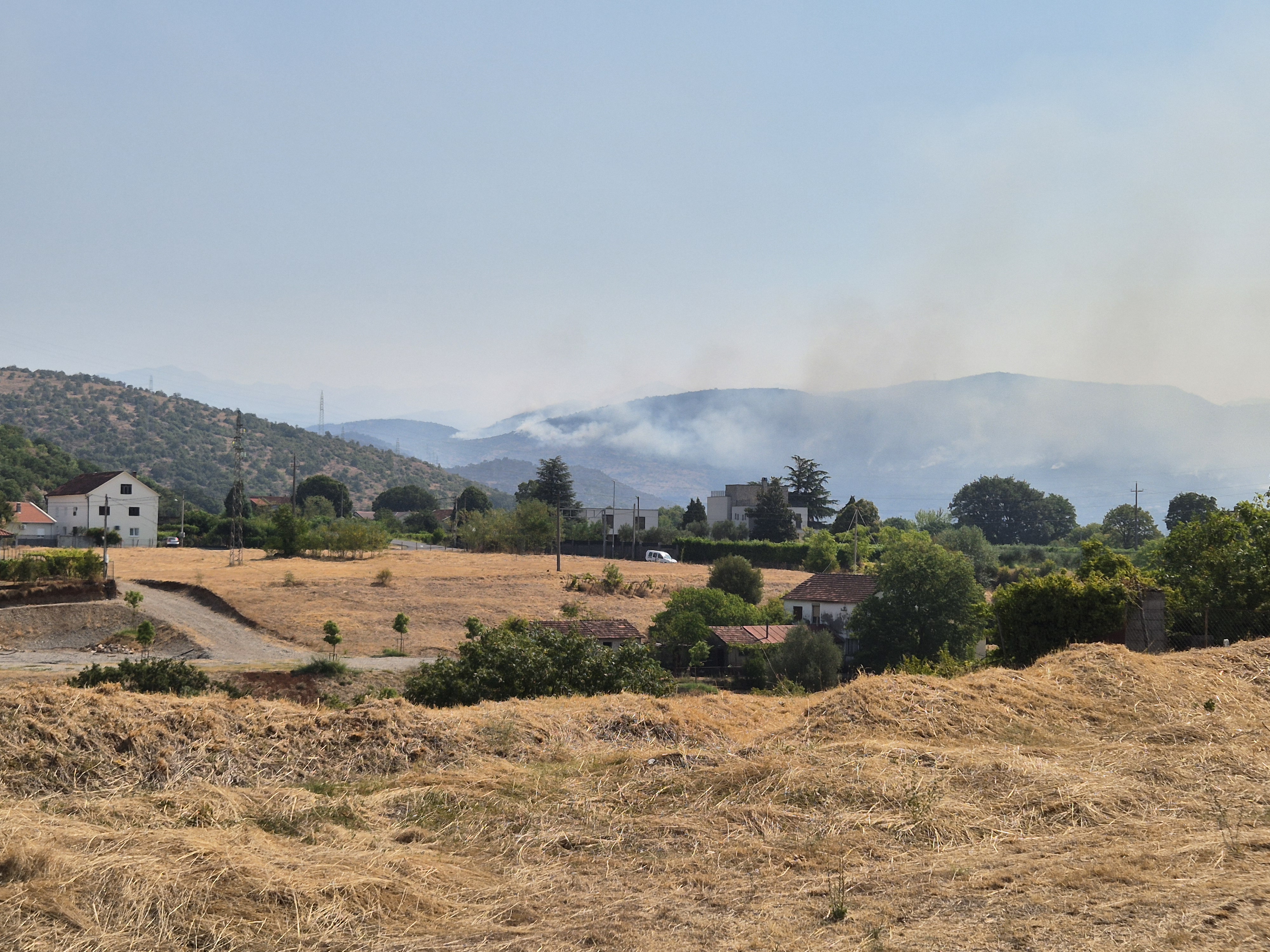Wildfires