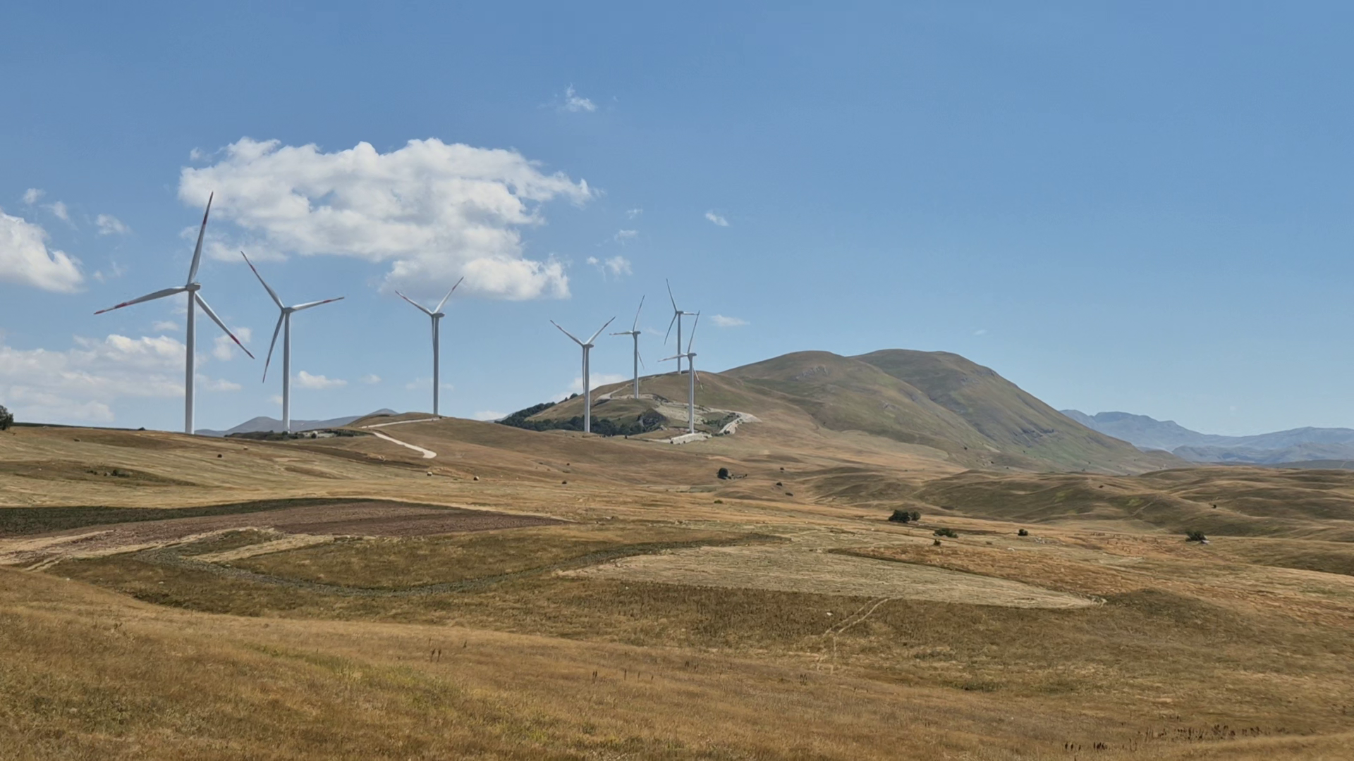 Just a few of the dozens and dozens of windmills there
