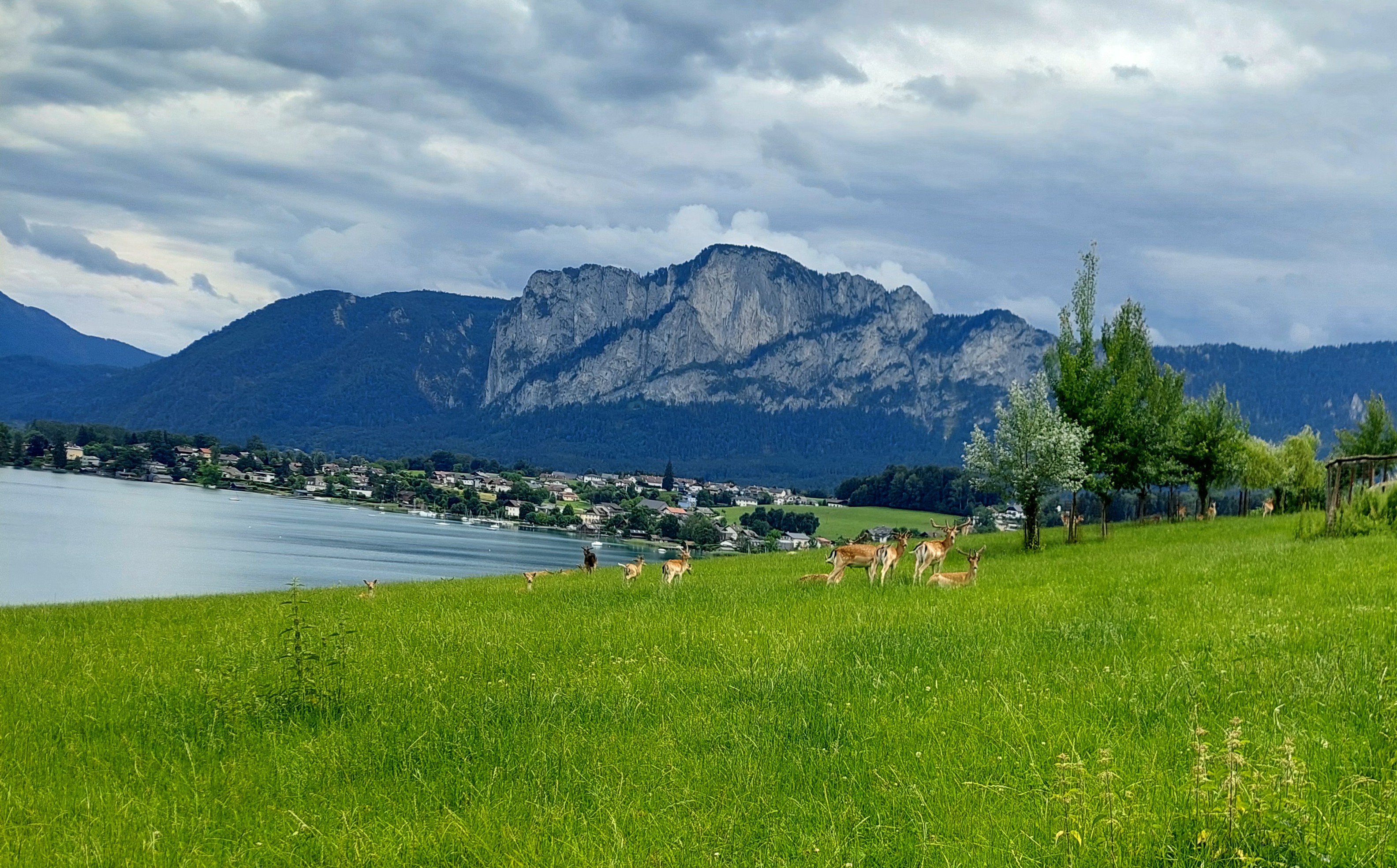 Mondsee