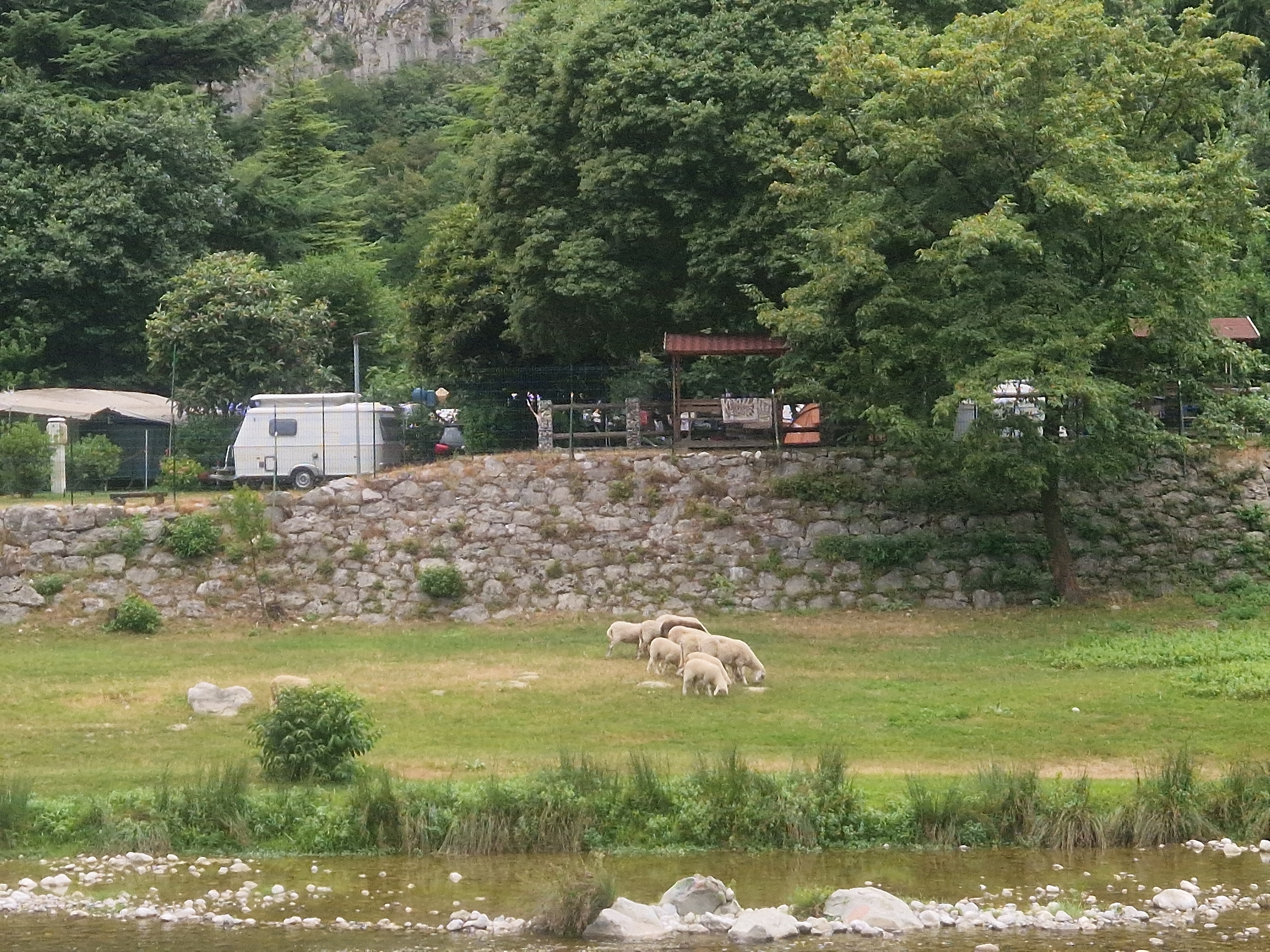 Garda