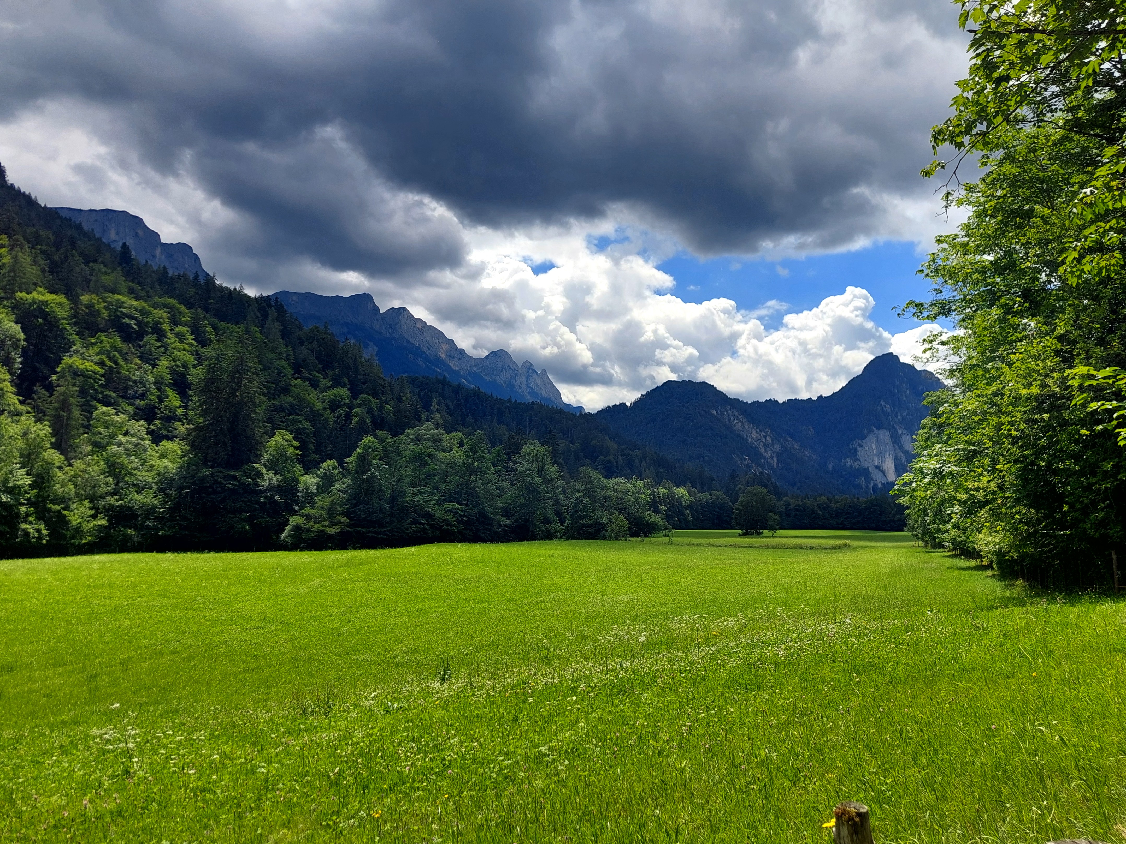 Nature