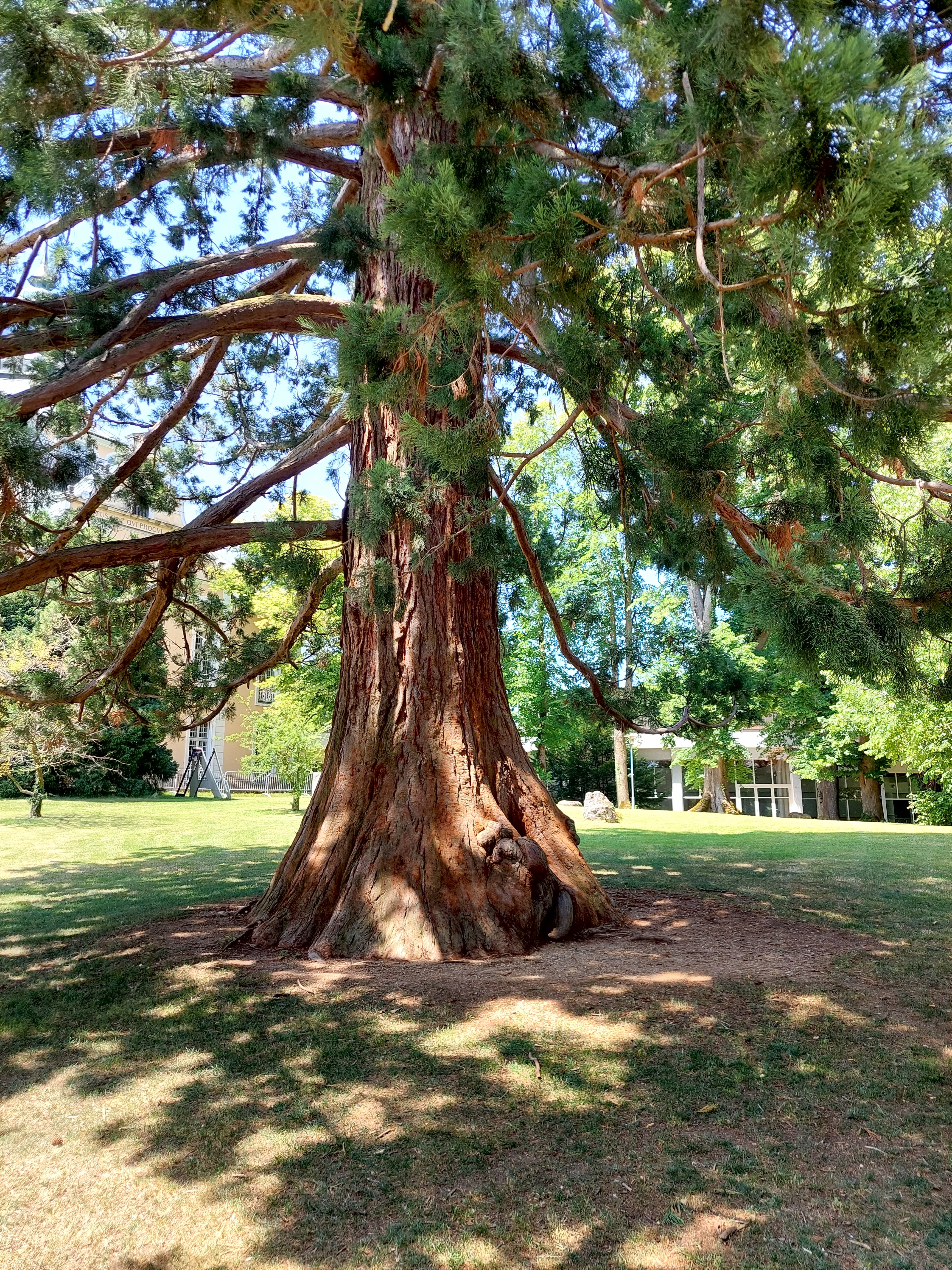 Park