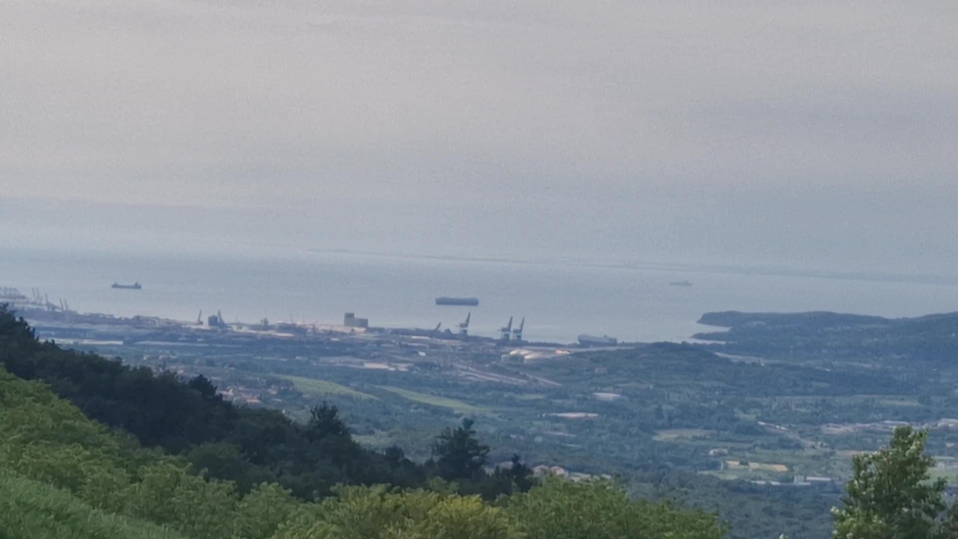 Koper