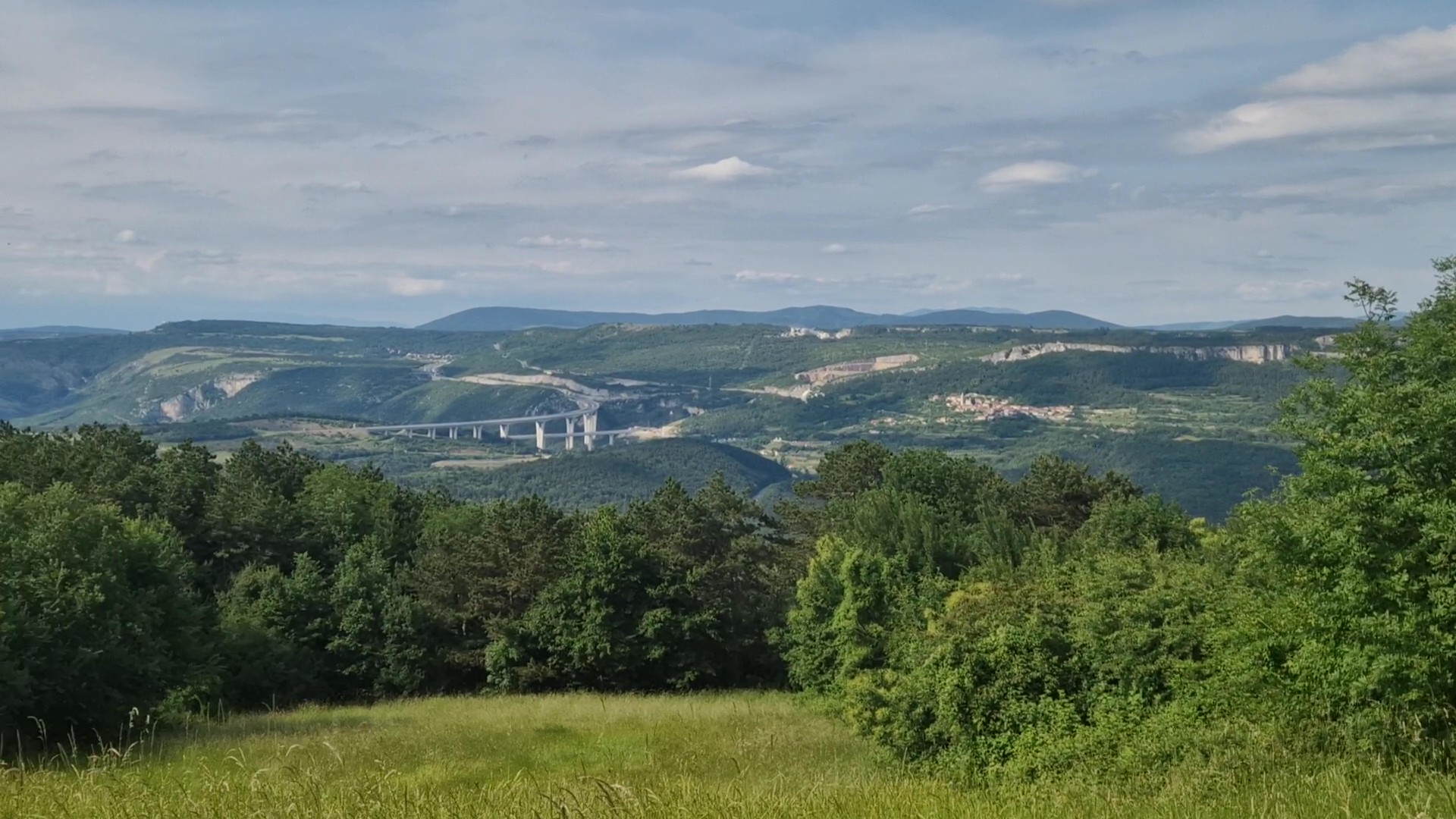 View