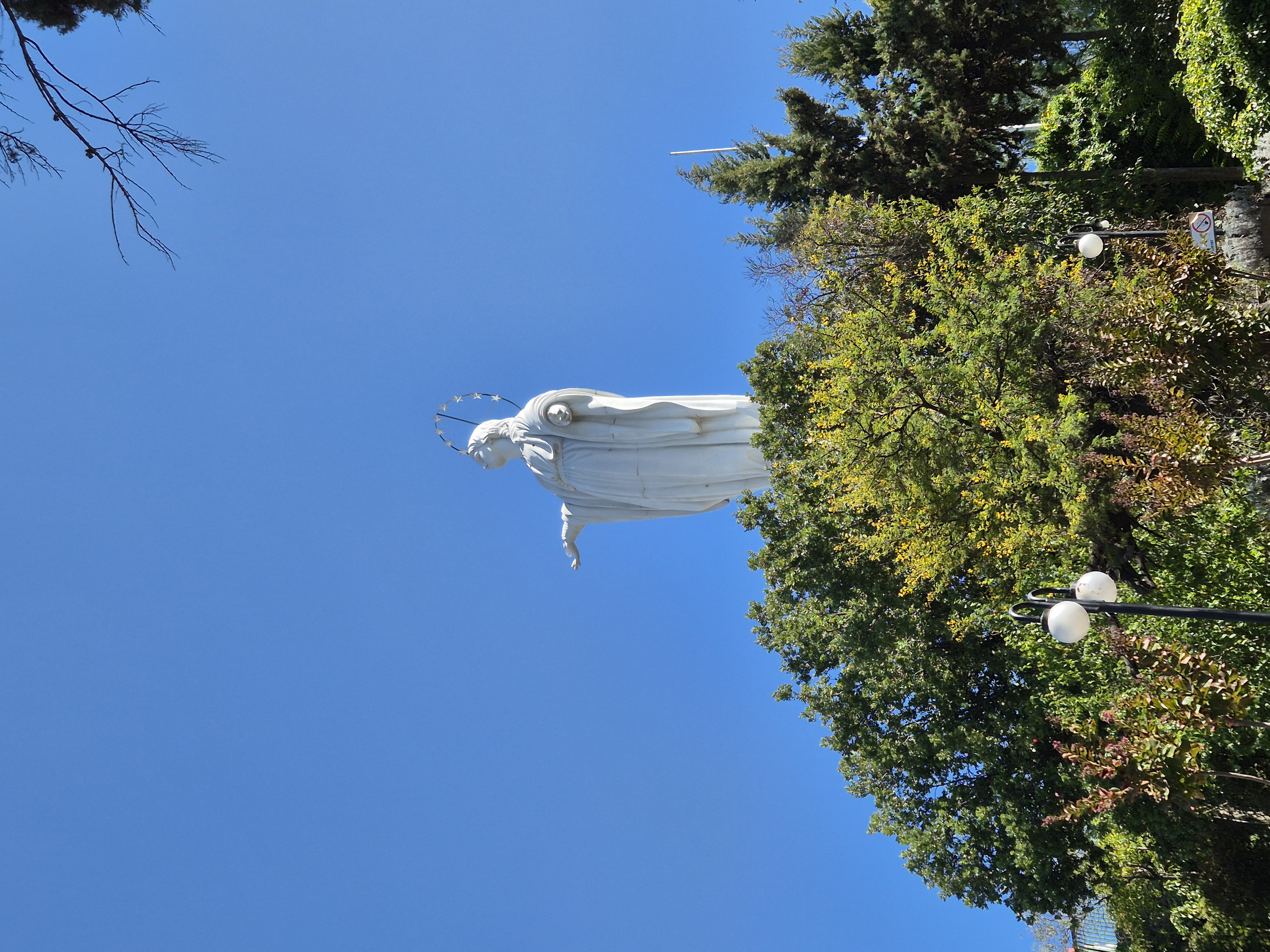Virgin Mary
