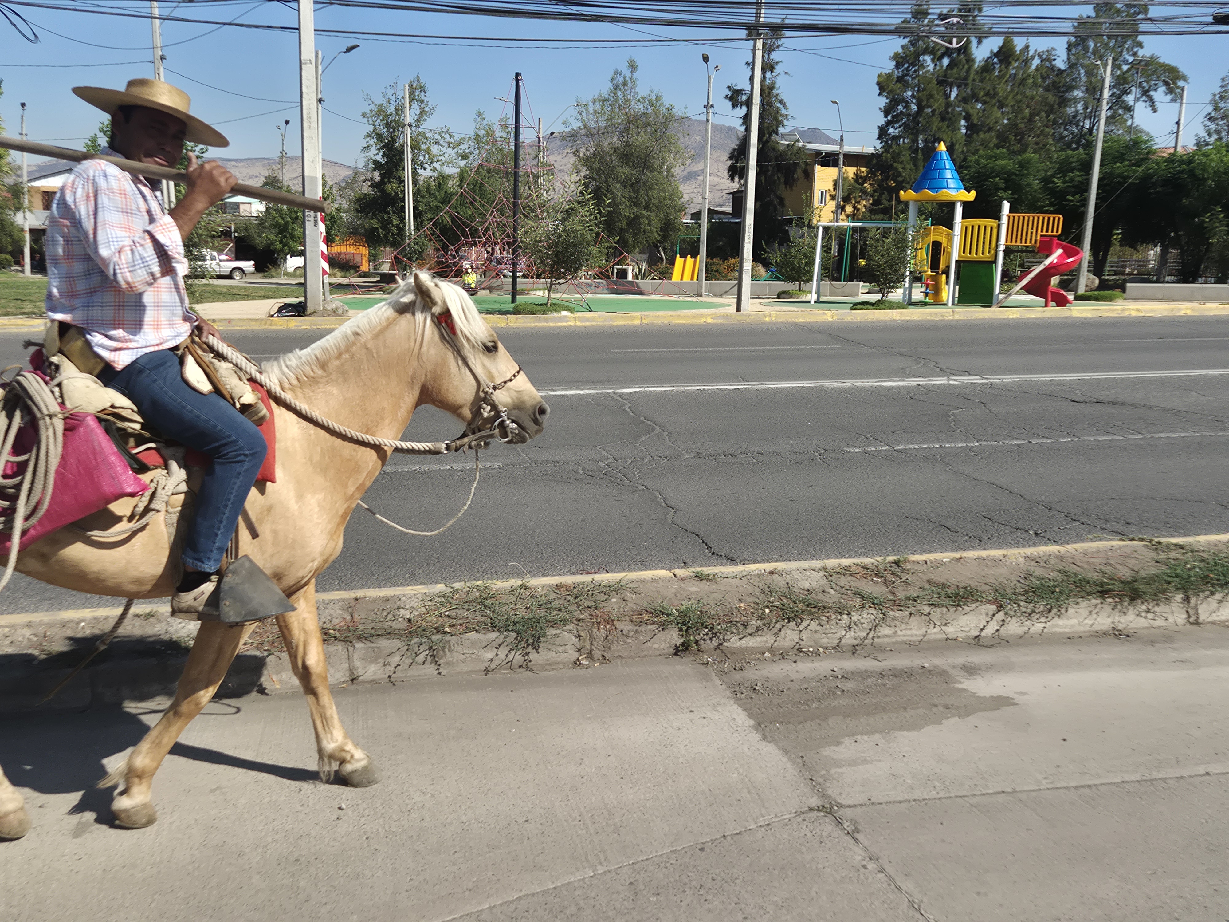 Horse rider
