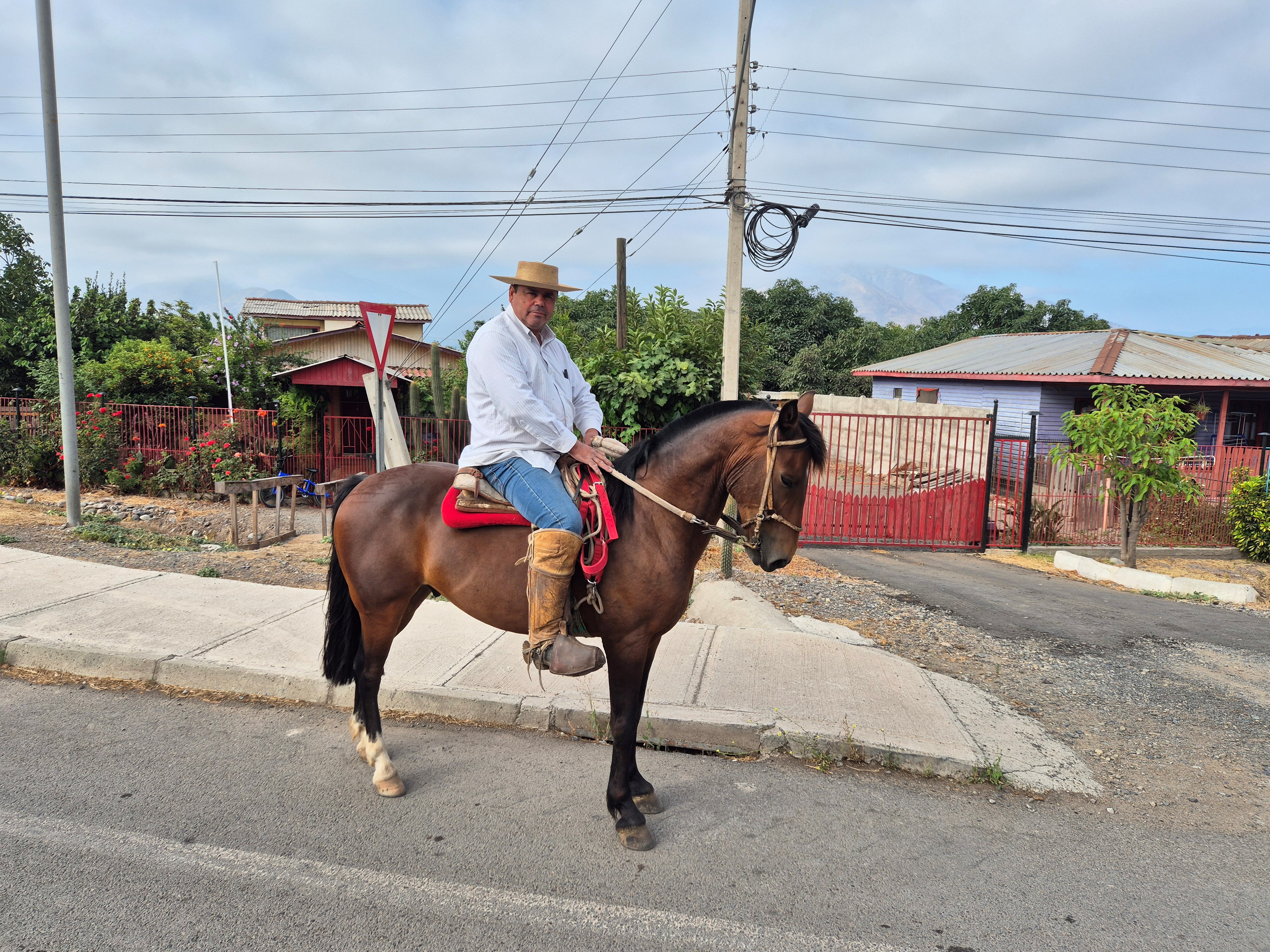 Horse rider