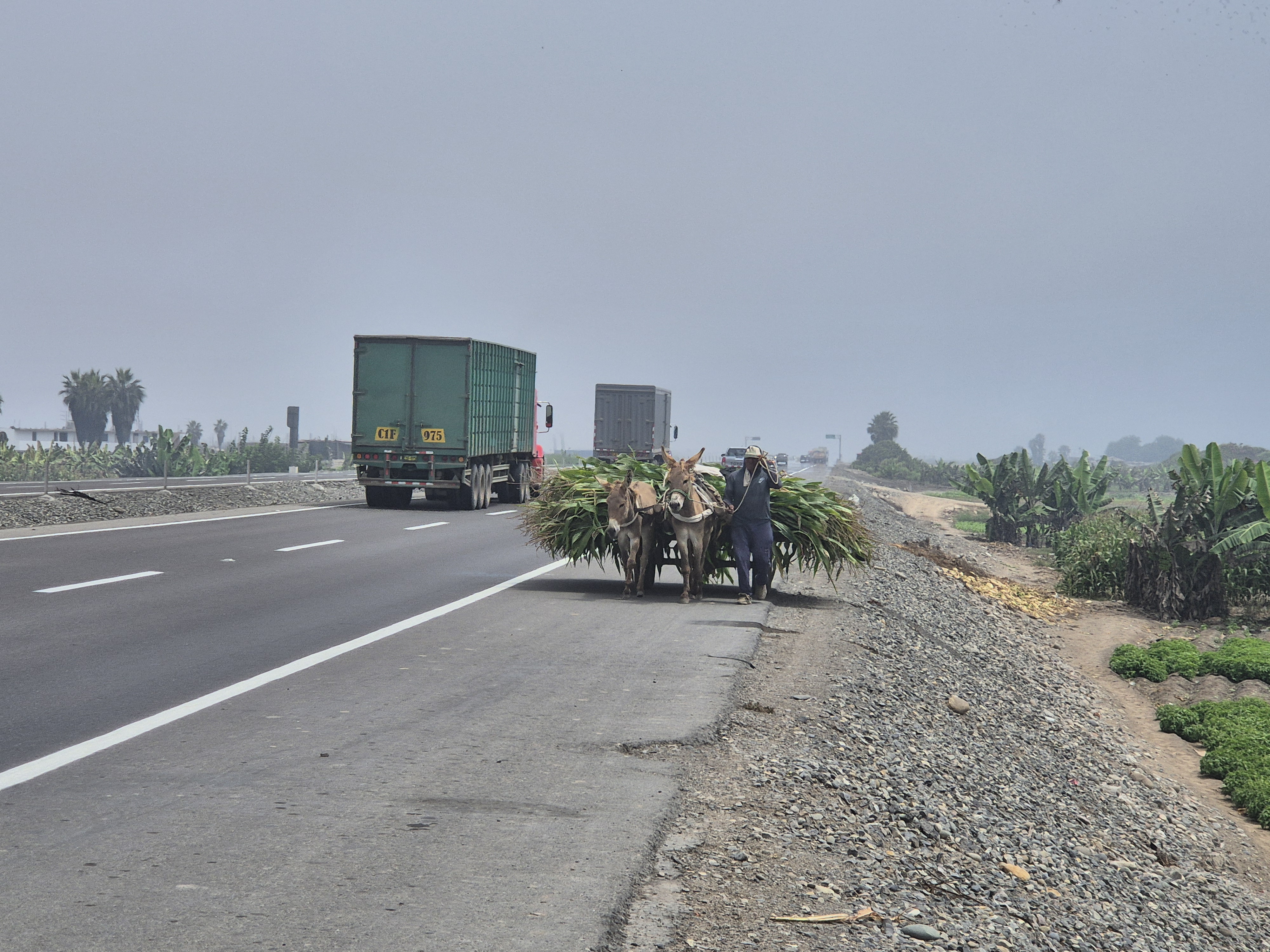 2DonkeyCart